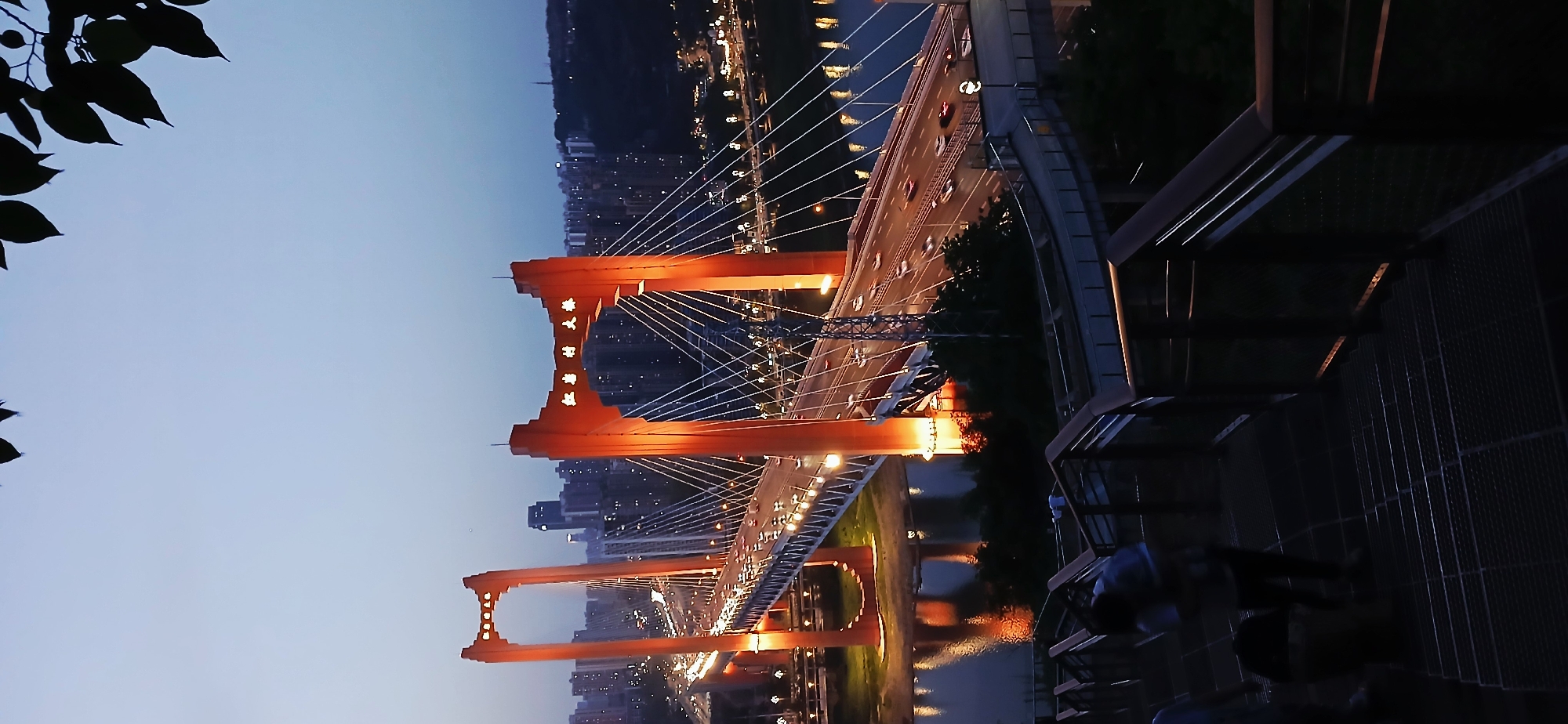 The image depicts the night view of a cable-stayed bridge in Yuzhong District, Chongqing, China, illuminated with orange lights. The bridge spans a river, with city lights visible in the background. The scene is viewed from an elevated position, likely a viewing platform, with some dark structures and foliage in the foreground. Cars are moving along the bridge.