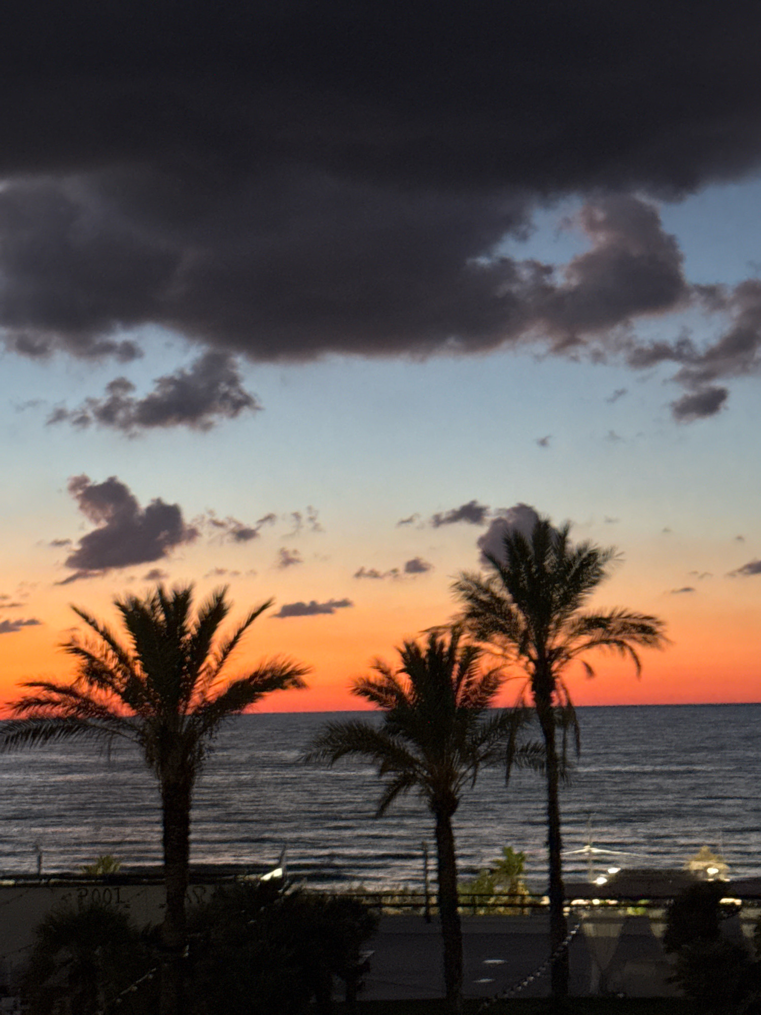 This is a vertical, eye-level, medium shot photograph taken at dusk in Isola delle Femmine, Italy. The image features a seascape with a vibrant sunset. In the foreground, three silhouetted palm trees are prominent against the colorful sky. Their fronds are dark and feathery, framing the scene. Between the palm trees, the dark, rippling water of the sea is visible, with a thin line of sand or land separating it from the foreground. Beyond the sea, the horizon is marked by a bright orange and red sunset that transitions into a pale blue sky. The sky above is dominated by dark, heavy clouds that obscure the upper portion of the image, creating a dramatic contrast with the bright sunset colors. In the lower portion of the image, there are hints of structures and lights, suggesting a built-up area near the coast, possibly a resort or waterfront promenade. The overall impression is one of a serene, yet dramatic, end to the day.