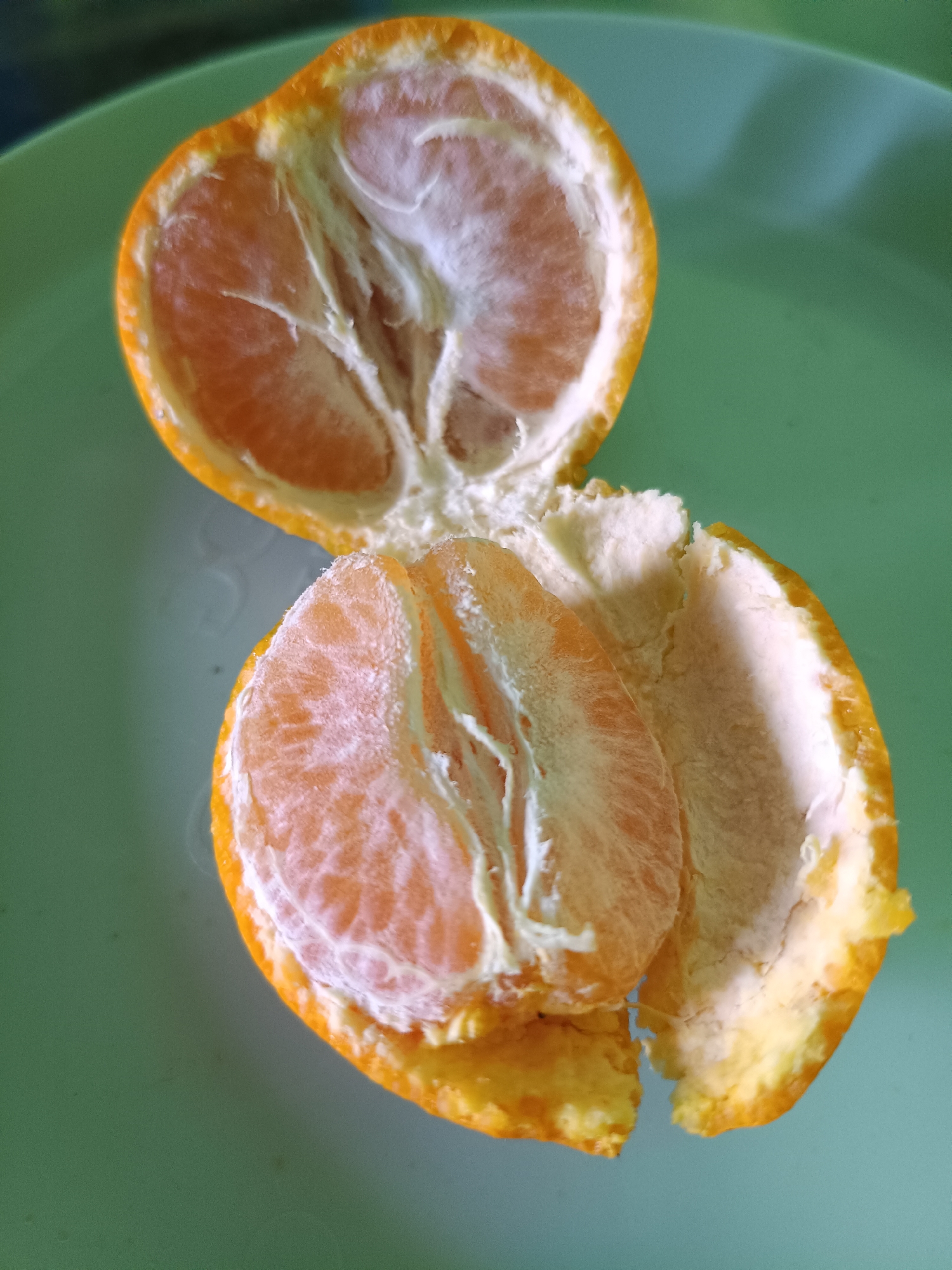 The image shows a peeled tangerine on a light green plate. The tangerine is split into two halves, with one half more fully peeled than the other. The peeled segments of the tangerine are visible, revealing the juicy interior. The background is a solid light green color, consistent with a plate. There is no indication of the location in Kadununggal, Indonesia, or any people or actions.