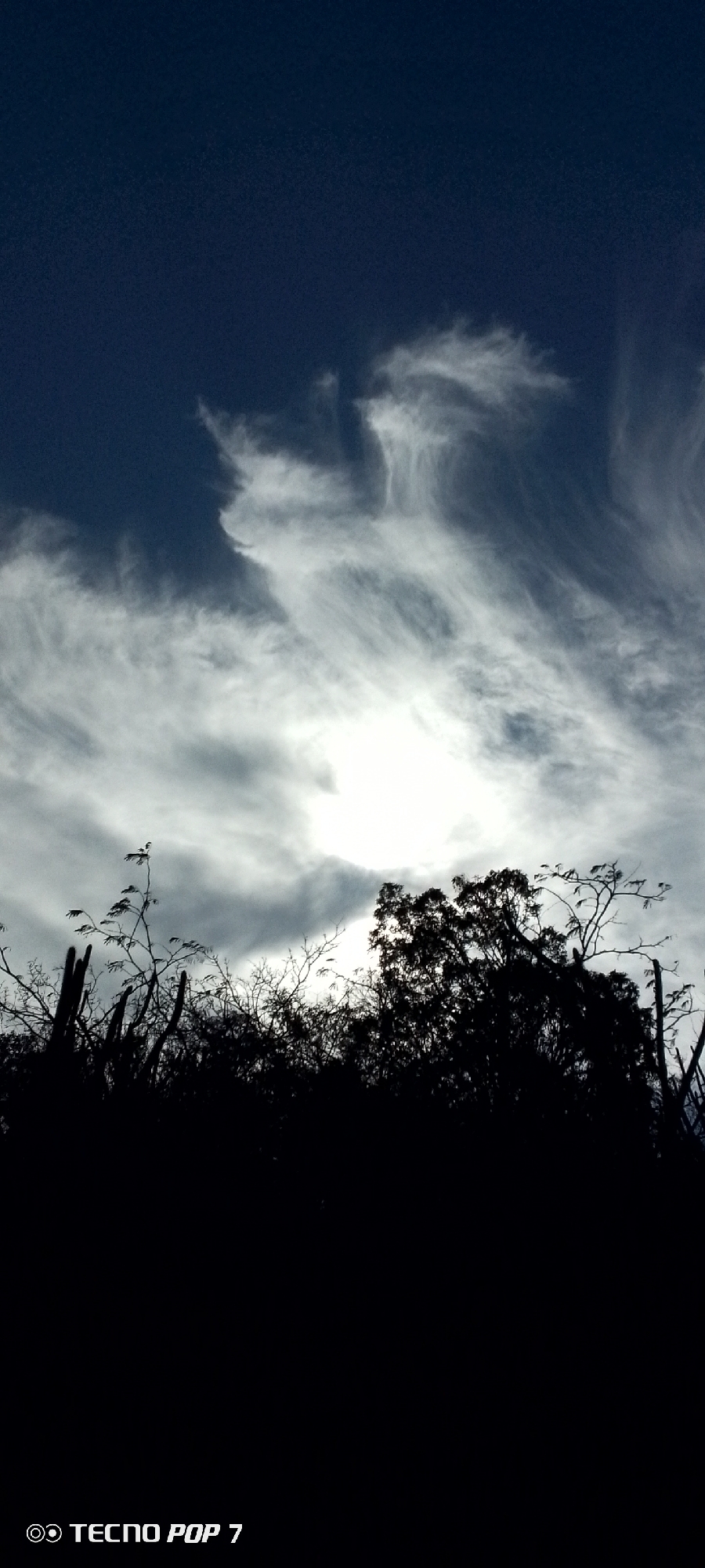 The photograph shows a landscape under a dramatic sky, likely captured in or near Altagracia, Venezuela.
Foreground: The lower portion of the image is dominated by a dark silhouette, possibly depicting dense vegetation. A variety of tree forms and cacti are discernible within the silhouette.
Midground: A bright area, likely the sun, is partially obscured by thin clouds. The silhouette of the trees reaches into the light.
Background: Above the clouds is a blue sky.
Other: The words "Tecno Pop 7" are printed in white in the lower left corner.