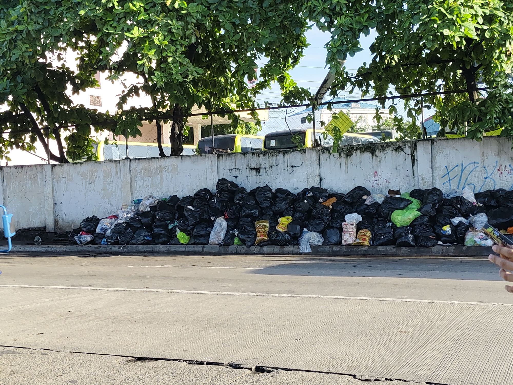 This image captures an urban roadside scene in Davao City, Philippines, depicting a significant accumulation of waste. In the foreground, a concrete road with a faint white line occupies the lower half of the frame. Above the road, a concrete curb separates it from a large pile of garbage bags.
The main subject is a substantial mound of trash, primarily consisting of black plastic garbage bags, extending horizontally along the base of a weathered concrete wall. Interspersed among the black bags are several clear, green, and yellow plastic bags, revealing various contents like plastic bottles, food wrappers, and other refuse. Some brightly colored bags, possibly containing snacks or products, are also visible within the pile. The concrete wall itself shows signs of wear, with peeling paint and some blue graffiti on its right side.
In the mid-ground, behind the wall and above the trash, are numerous lush green trees with dense foliage, casting shadows and creating a dappled light effect. Through the gaps in the leaves, parts of buildings and what appear to be yellow and black public utility vehicles (possibly jeepneys or vans) are visible, parked or situated behind the wall. A chain-link fence runs along the top of the wall in some sections.
On the far left, a small portion of a blue object, possibly a street fixture or a part of another vehicle, is just entering the frame. On the far right, a human hand is visible, holding a smartphone, suggesting the image was taken by someone observing or documenting the scene.
The scene takes place during bright daylight under clear skies, indicated by the strong sunlight filtering through the trees and illuminating the road and wall. The overall impression is one of environmental concern due to the uncollected garbage in a public space. No discernible specific text is clearly legible on the garbage bags, though there is some blue graffiti on the wall.