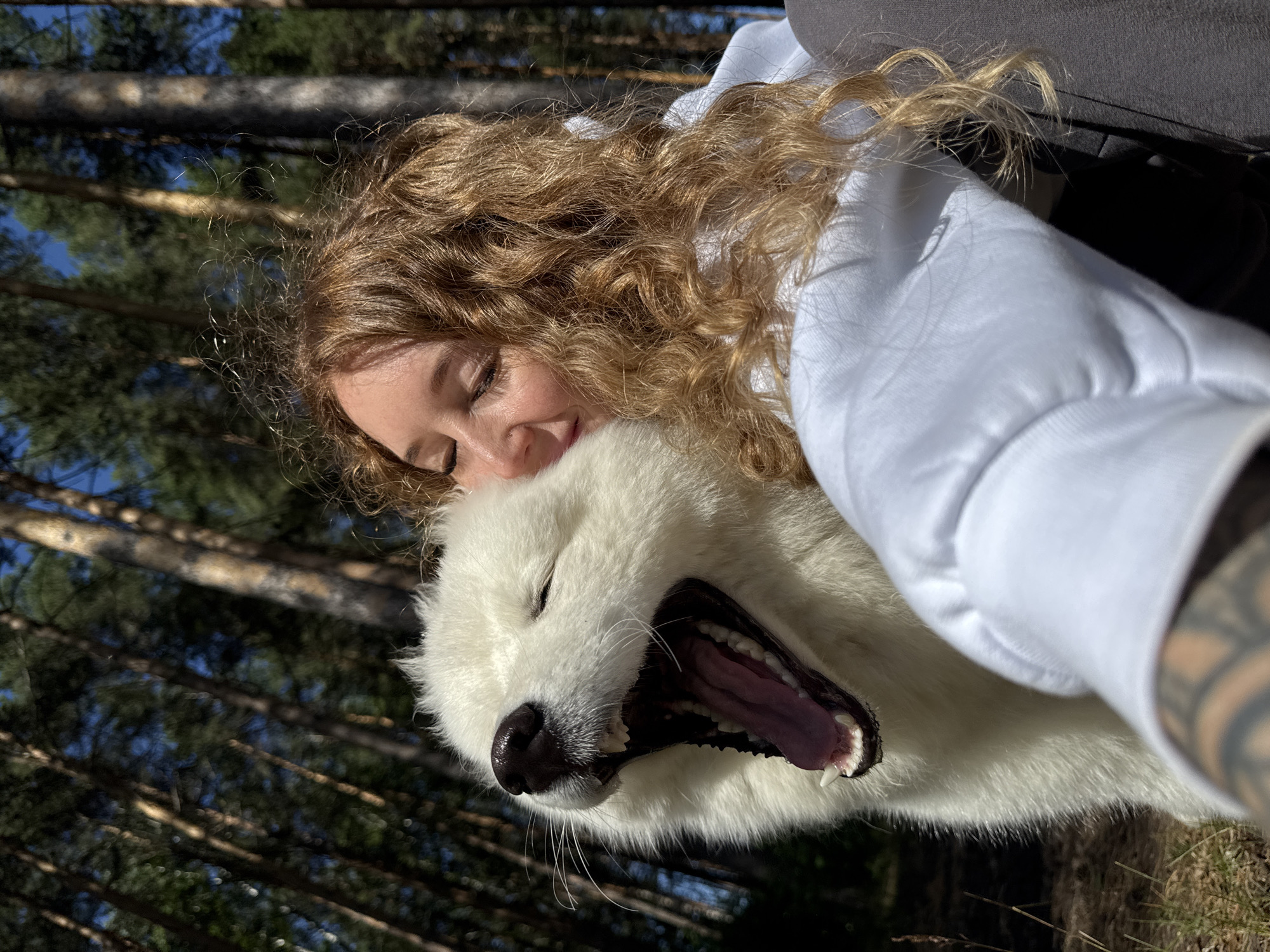 A woman with curly blonde hair is embracing a white dog, likely a Samoyed, in a forest. The dog's mouth is wide open in a yawn, revealing its teeth and tongue. The woman has her eyes closed and is leaning into the dog. The background consists of tall trees with sunlight filtering through the branches, suggesting an outdoor, possibly wooded, location. The woman is wearing a white hoodie. The image appears to be a selfie. The location is the city of Chaikovsky, Russia, based on the provided context.