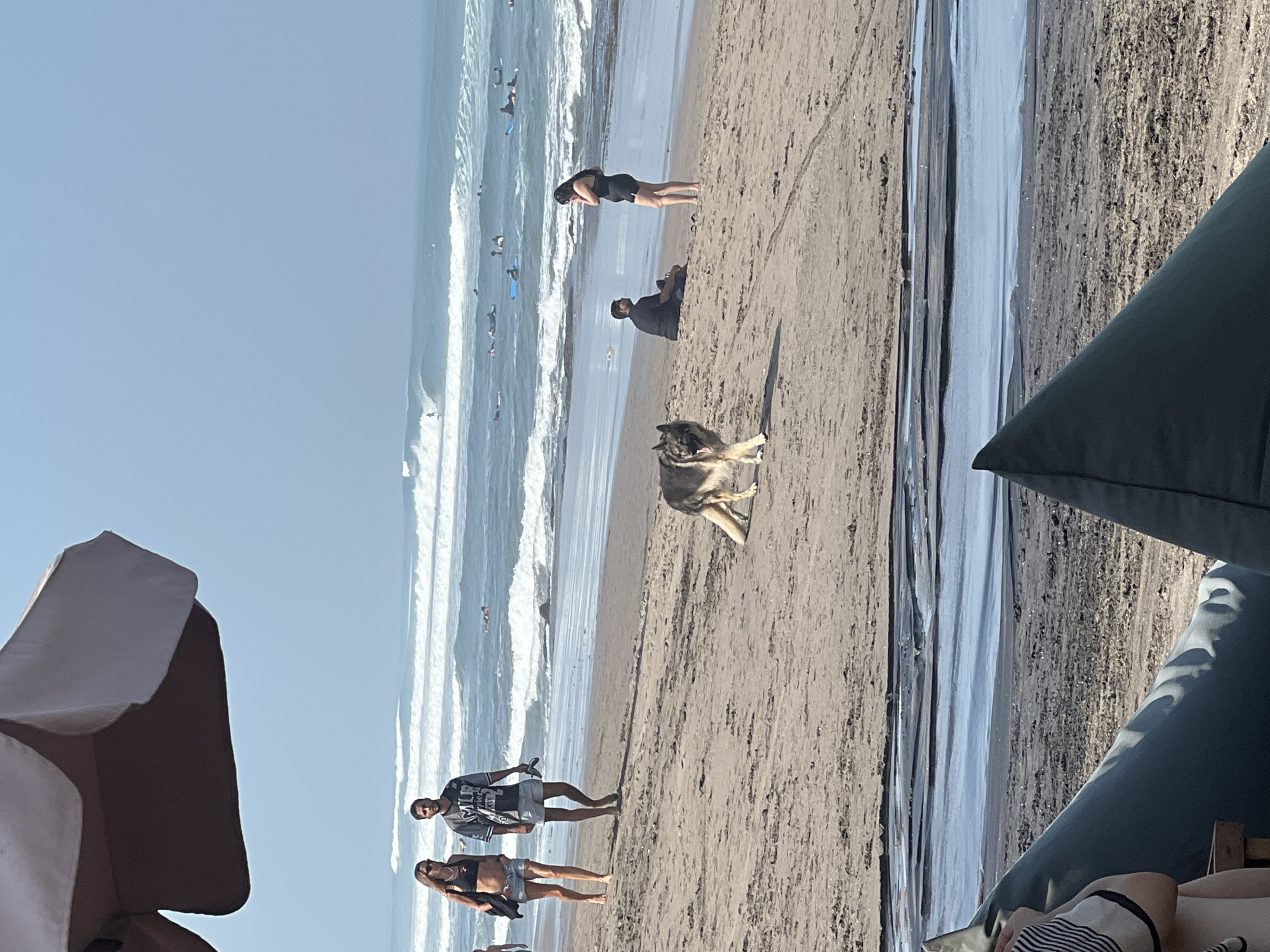 An overhead view of a beach in North Kuta, Indonesia shows a sunny day with a clear blue sky and gentle ocean waves. Several surfers are visible in the water, dotted amongst the waves. On the sandy shore, a German Shepherd dog walks towards the viewer, appearing to be off-leash. Further back, a couple walks hand-in-hand, with the woman in a black bikini top and denim shorts, and the man in a gray and black graphic t-shirt and grey shorts. They are holding sandals. Another couple is seated on the sand, one person in a black outfit and the other in dark clothing. A large, beige beach umbrella partially obscures the top left corner of the frame. The foreground features several large, dark green beanbag chairs. A small stream of water runs across the sand in the middle ground.