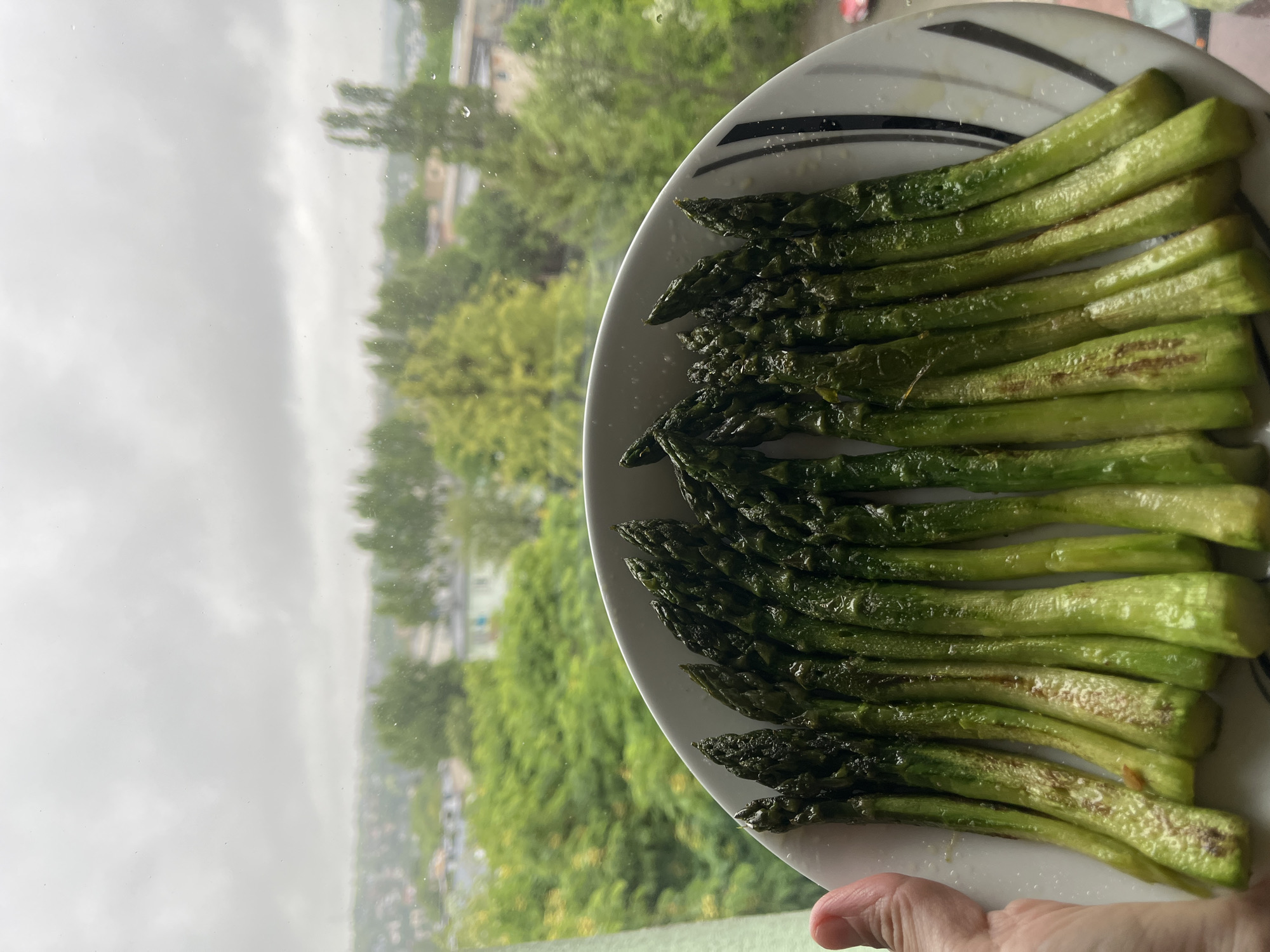 An image, oriented vertically, captures a close-up of a plate of cooked asparagus held by a hand against a blurry outdoor background viewed through a window. The plate is white with distinct black and grey striped patterns along its rim on the upper right side. It is filled with bright green asparagus spears, uniformly arranged. Some of the asparagus stalks show subtle brown marks, suggesting they have been roasted or grilled, and small white crystals, likely salt, are visible on the surface of some spears.
The outdoor scene beyond the window is out of focus, dominated by lush green trees of varying shades, along with faint outlines of distant buildings or structures. The sky appears overcast and grey, indicative of cloudy or rainy weather. Numerous small water droplets are visible on the window pane, reinforcing the impression of rain. A person's hand, holding the plate, is visible at the bottom right corner of the frame. The time of day is daytime, though the cloudy conditions obscure direct sunlight. There is no visible text in the image.