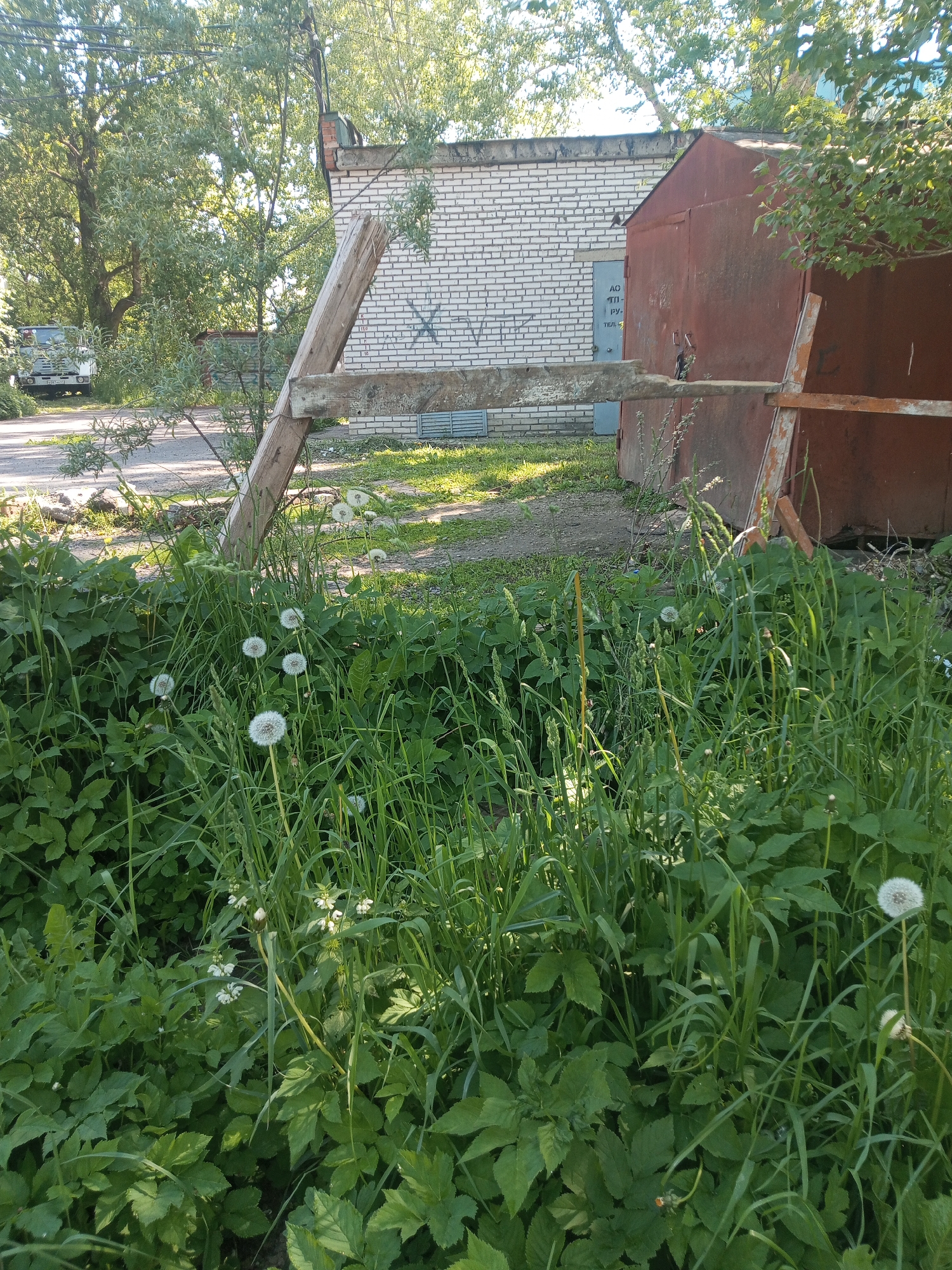 The image depicts an outdoor scene in Kommunar, Russia, under bright daylight. The foreground is dominated by a dense growth of green vegetation, including tall grasses, broad-leafed plants, and several fluffy white dandelion seed heads. Small white wildflowers are also visible nestled among the leaves.
Angling across the midground is a rustic wooden fence or barrier made of rough planks. Beyond this barrier, a dirt path or unpaved road can be seen, leading towards the left where a white truck or van is partially visible behind trees.
In the background, on the right, stands a rusty, reddish-brown metal shed or garage with a sloped roof, showing signs of age and weathering. To its left, a white brick building with a flat roof is present. A blue metal door or panel on this brick building displays partial Russian text: "АО ТП- РУ. ТЕЛ-". "АО" typically signifies a Joint Stock Company. An "X" mark is also painted on the brick wall.
Large green trees with leafy canopies frame the upper and left portions of the background. The bright sunlight suggests a clear day, casting shadows and illuminating the scene. No people are visible, and there is no specific activity occurring, lending a quiet, somewhat neglected, or utilitarian atmosphere to the environment.