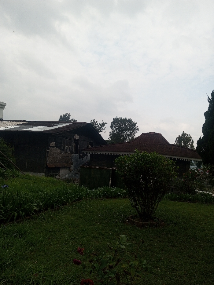 The scene, located in Nghĩa Đồng Commune, Vietnam, depicts a semi-rural landscape under an overcast, light grey sky. The foreground features a well-maintained lawn with dark green grass and planted beds containing rows of broad-leafed herbaceous plants. A centrally placed, dark green shrub, approximately one meter tall, is bordered by a circular enclosure. Faint dark red flowers are visible in the lower left. In the midground, two primary structures are present. The left building is dark-colored, featuring a multi-pitched corrugated metal roof with contrasting lighter and darker sections, indicative of varied age or repair. Its facade shows significant deterioration, with visible damage, exposed material, and a rectangular window opening. Partially visible on the far left is a segment of a taller, white building. The right structure is characterized by a distinctive dark reddish-brown corrugated metal roof with multiple undulations and peaks, consistent with traditional Vietnamese design. Both buildings exhibit dark-toned walls. A low corrugated metal structure or fence connects the two main buildings. A treeline is visible in the background, beneath the uniform grey sky. No people, animals, or vehicles are present.