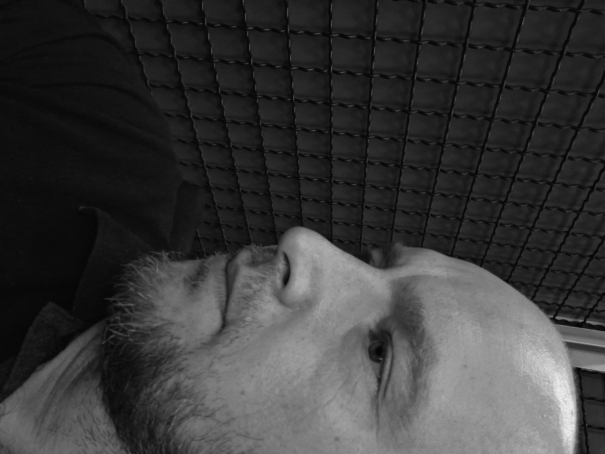 A black and white, close-up, profile shot captures a bald man's face. He is looking to his left, with his head tilted down slightly. He has a beard and a dark shirt. Behind him is a dark, wire fence with square openings. The man is positioned to the right of the frame, with the fence filling the left side. The lighting appears to be coming from the right.