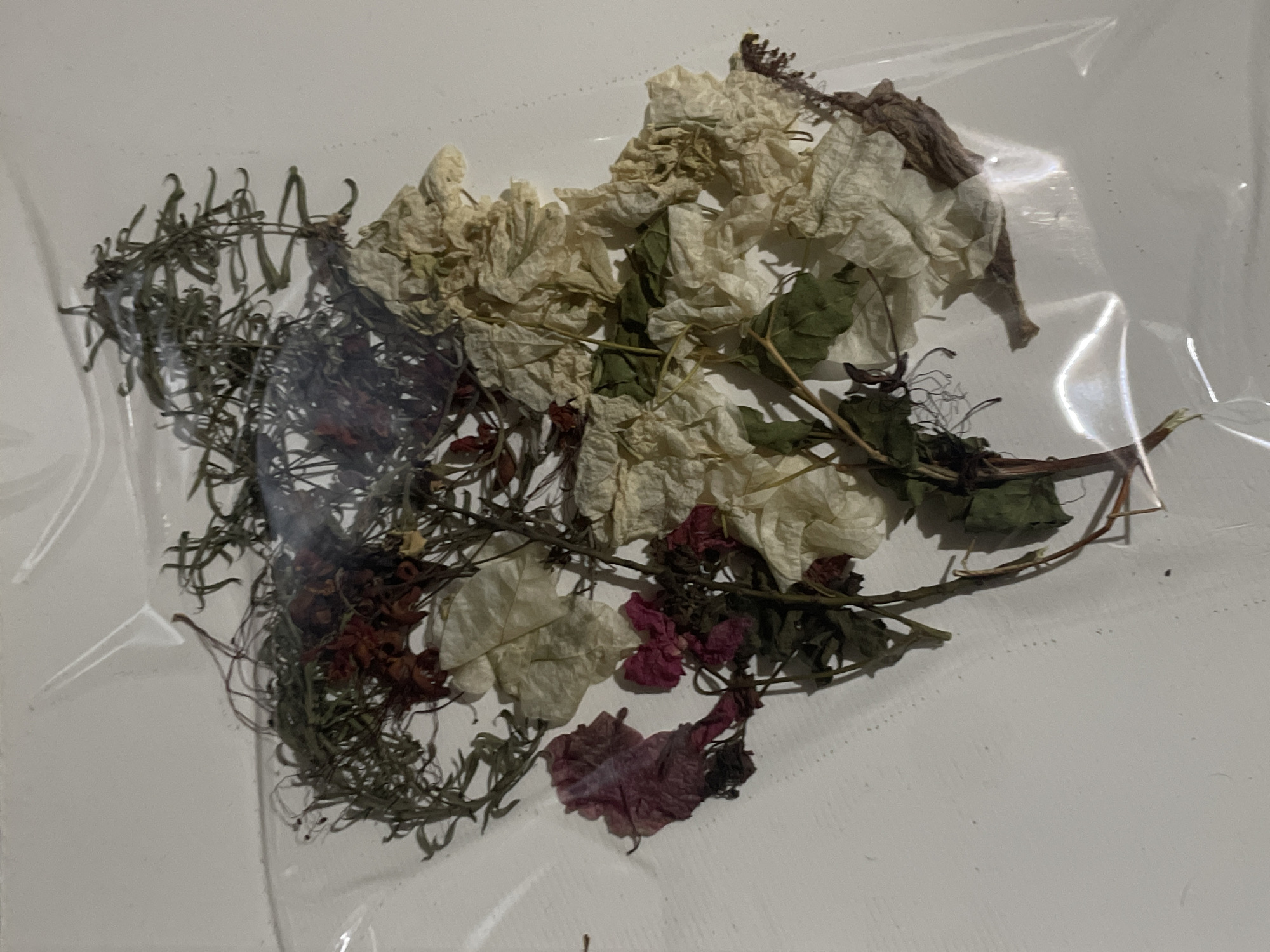 The media file displays a collection of dried plant materials enclosed within a clear plastic film or bag. The subjects are various types of dried flowers and herbs, arranged in a loose pile.
The prominent elements include several clusters of off-white to cream-colored dried flower petals, which appear crinkled and delicate, possibly from bougainvillea. Mixed with these are smaller fragments of faded purplish-red or maroon petals and bracts, indicating different original flower colors. Interspersed throughout the arrangement are thin, wiry, dried green stems and leaves, resembling dried rosemary or a similar herb, contributing a contrasting texture. A few larger, dried green leaves are also visible.
The overall color palette is muted, consisting primarily of faded whites, creams, browns, dull greens, and subtle hints of reddish-purple. The plant matter is brittle in appearance, characteristic of dried botanical specimens. No specific activity is taking place; the image captures a static display of these dried items.
Notable details include the clear plastic covering, which creates subtle reflections and wrinkles, suggesting the items are packaged or protected. The background is a plain, light-colored surface, likely white, providing a neutral contrast to the dried plants. The lighting is even, without harsh shadows, and appears to be indoor or artificial. There is no visible text in the image.