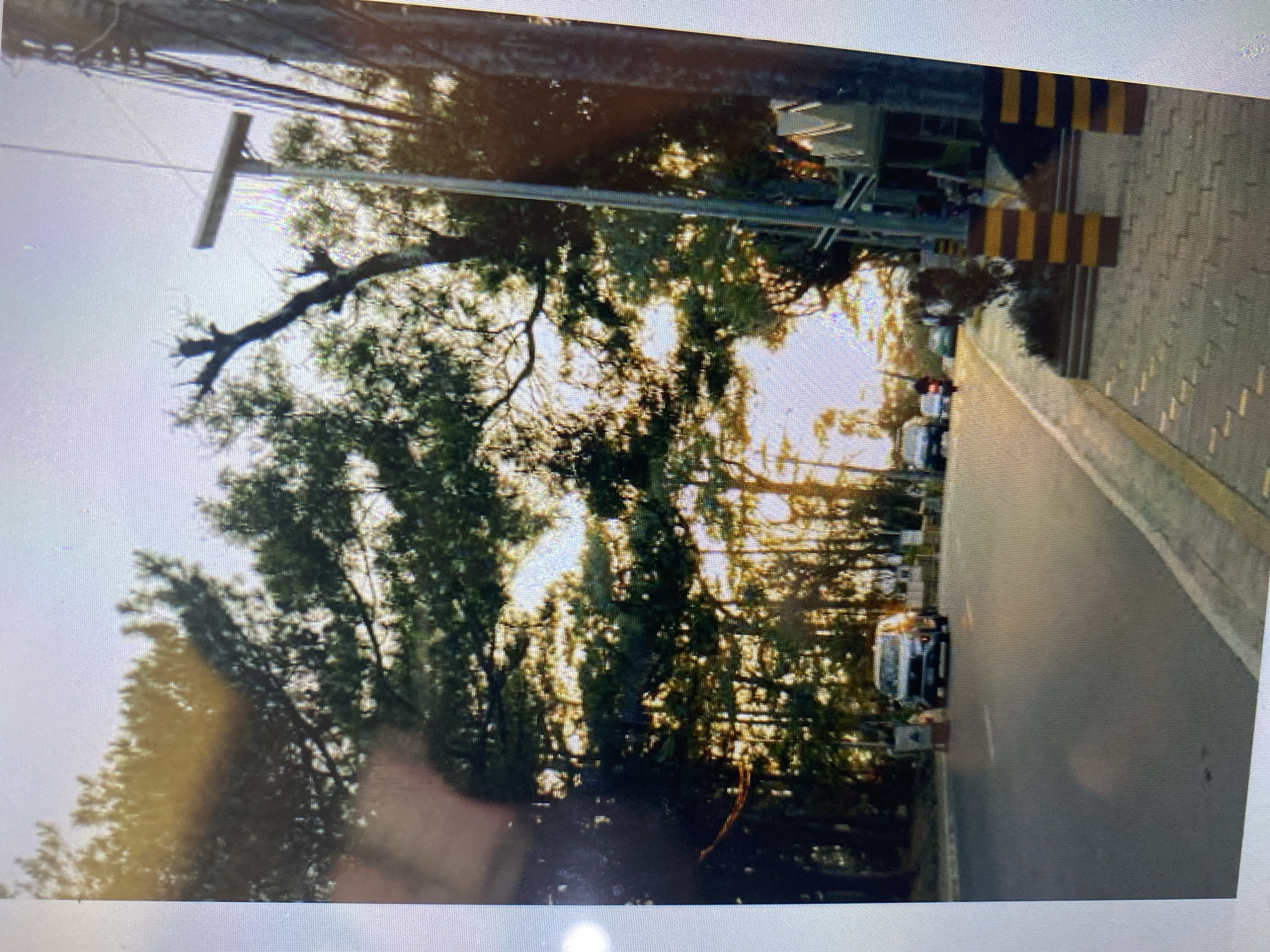 The image depicts a street scene in Ta', Indonesia, bathed in the warm glow of what appears to be either sunrise or sunset. Tall trees line the left side of the road, their foliage creating a dappled canopy that allows sunlight to filter through. On the right side of the street, a sidewalk is visible, paved with interlocking bricks and bordered by a yellow line. A utility pole with wires stands near the sidewalk.
Several vehicles are present on the asphalt road. In the foreground on the left, a white van is parked, partially obscured by the trees. Further down the road, a dark-colored SUV is traveling away from the viewer, and behind it, a smaller dark car is also in motion. A motorcycle is visible in the distance, also moving away.
The sky above is a bright, pale blue, suggesting clear weather. The overall impression is one of a tranquil urban street during a beautiful time of day. There are no discernible individuals clearly visible in the image, though there are some indistinct shapes that could be people in the distance near the buildings on the right.