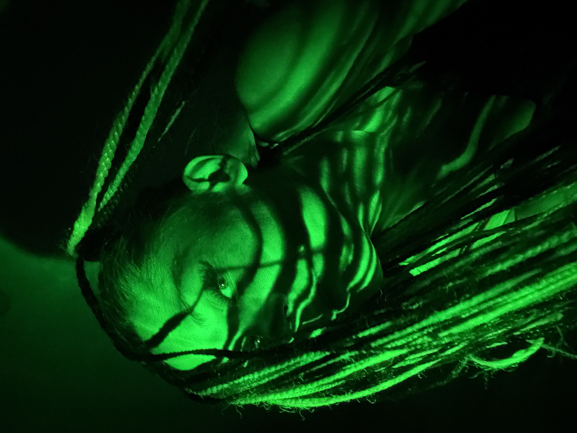 The image presents a close-up, high-contrast portrait of a person in a dark, low-light environment, illuminated predominantly by a vivid green light. The subject's head and upper torso are visible, positioned diagonally across the frame.
The person appears to have dreadlocks or tightly braided hair, which is styled or intertwined with rope-like elements. These hair strands and ropes are also strongly highlighted by the green light. Intense, striped shadows are cast across the subject's face, neck, and upper body, suggesting a patterned light source, such as a grate, blinds, or a projected design. One eye is clearly visible and reflects the green light, showing a direct, focused gaze towards the viewer.
The overall mood is dramatic and artistic, created by the monochromatic green lighting, deep shadows, and the subject's intense expression. The background is uniformly dark, offering no specific location cues or details about the setting beyond the controlled lighting environment. There are no visible objects other than the person and their hair/ropes. No activity is explicitly taking place beyond posing for the photograph. There is no visible text in the image.