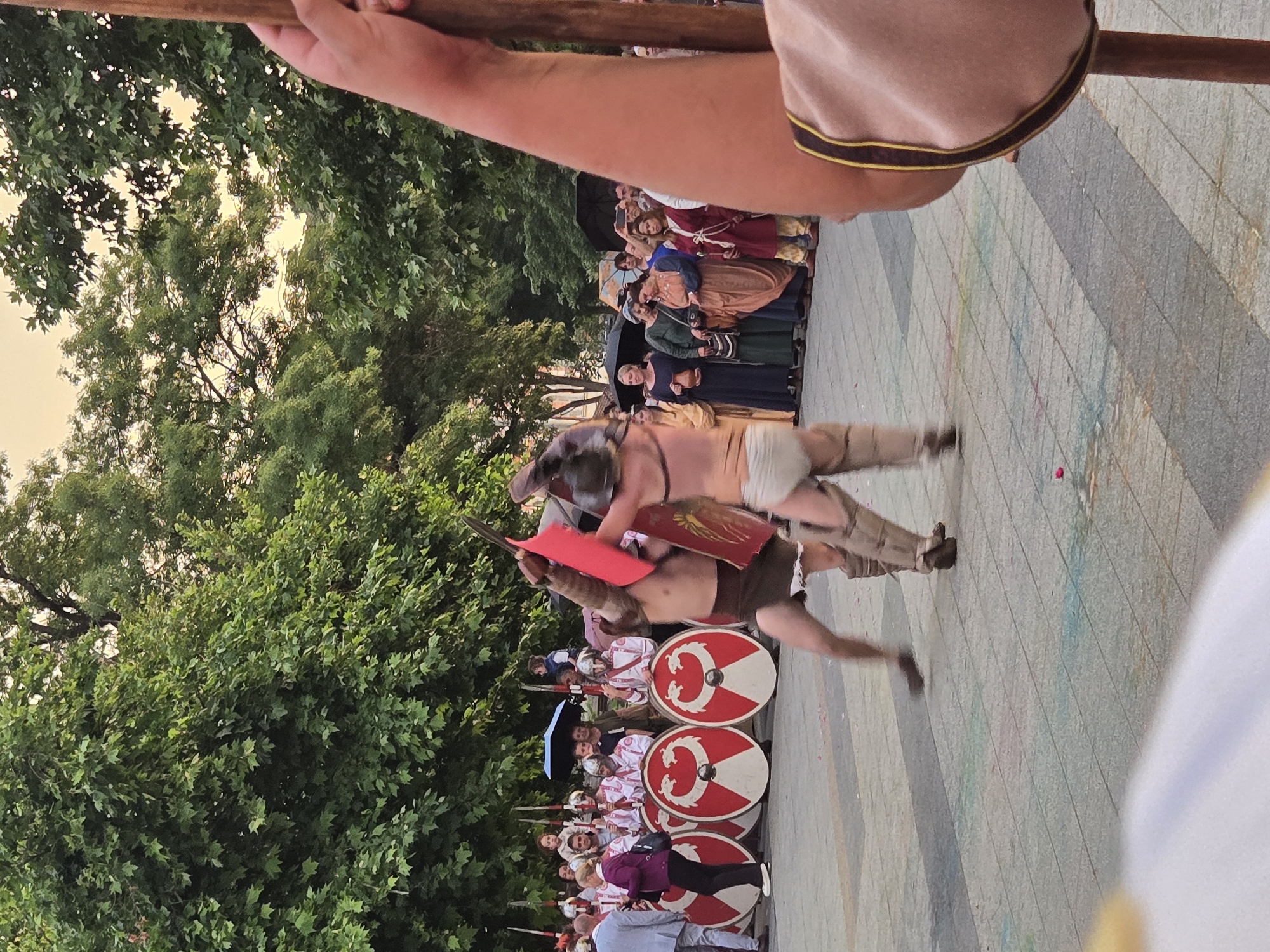 This image captures an outdoor historical reenactment, likely depicting gladiatorial combat, set in a paved public square in Pleven, Bulgaria, during what appears to be late afternoon or early evening.
In the center foreground, two gladiators are actively engaged in combat. The gladiator on the left is bare-chested, wearing a brown loincloth and leg guards, holding a red rectangular shield in their left hand and a short sword or gladius in their right, with their body blurred from motion. The gladiator on the right, also bare-chested, wears a light-colored loincloth and helmet, with their right arm raised, wielding a sword, and a smaller red shield visible on their left arm; this figure also exhibits motion blur.
The ground beneath the gladiators is composed of light and dark gray rectangular paving stones, with scattered multi-colored chalk markings (blue, pink, green) and small pink petals or confetti.
To the left of the gladiators, a group of individuals in Roman soldier costumes (white tunics, helmets, spears, and large round shields with a distinctive white and red crescent/dragon emblem) stand in formation. Among them and further left, several spectators in modern attire are visible, including a man in a light blue suit and a woman in a purple jacket. A blue umbrella is open over a small group of people behind the soldiers.
To the right of the gladiators, a crowd of spectators, many dressed in historical period costumes (long dresses in shades of blue, brown, red, and green), observe the event. Several black umbrellas are open within this crowd.
The background is dominated by dense foliage from large deciduous trees, with patches of a soft, warm-toned sky visible through the leaves, indicating the time of day. In the immediate foreground, on the far right, a person's right arm, partially obscured, is holding a wooden pole, wearing a light brown garment with a dark brown and gold trim, suggesting the perspective of another participant or spectator close to the action.