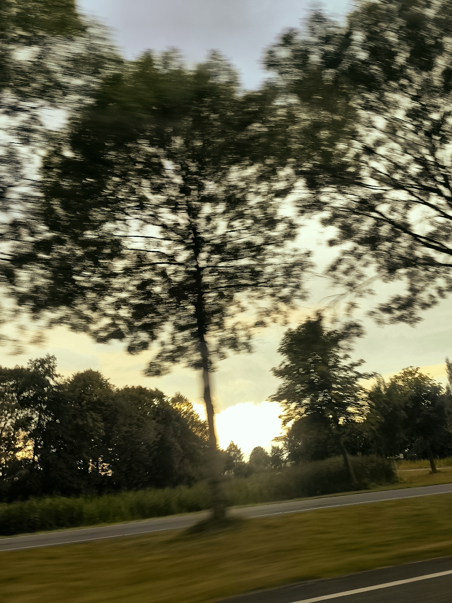 The image captures a motion-blurred view of trees and a road, likely taken from a moving vehicle. The sky is overcast with hints of warm light breaking through, suggesting either sunrise or sunset. The trees are dense and dark, their leaves appearing as streaks due to the motion. A road with white lines runs diagonally across the lower part of the image, bordered by grassy verges. The overall impression is one of a fleeting glimpse of a rural or semi-rural landscape. There are no people or identifiable landmarks present that would pinpoint a specific location within Lelystad.