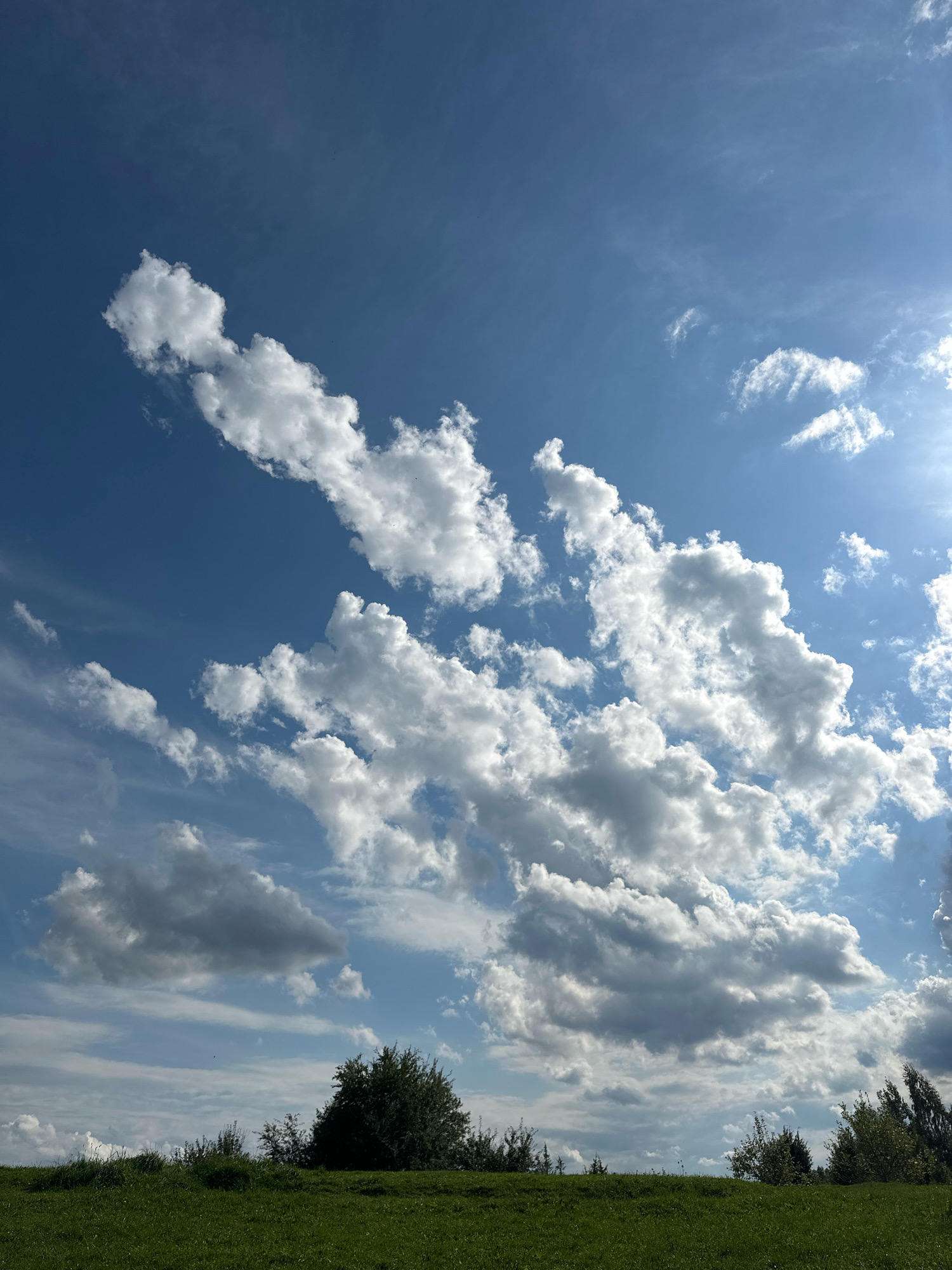 The image depicts a bright, sunny day with a vast expanse of blue sky populated by scattered white and gray clouds. The lower portion of the frame shows a rolling green grassy field with a line of trees along the horizon. The scene is likely a rural landscape, possibly in the Мядзельскі сельскі Савет area of Belarus, characterized by open fields and trees under a dynamic sky. No people or specific man-made objects are visible.