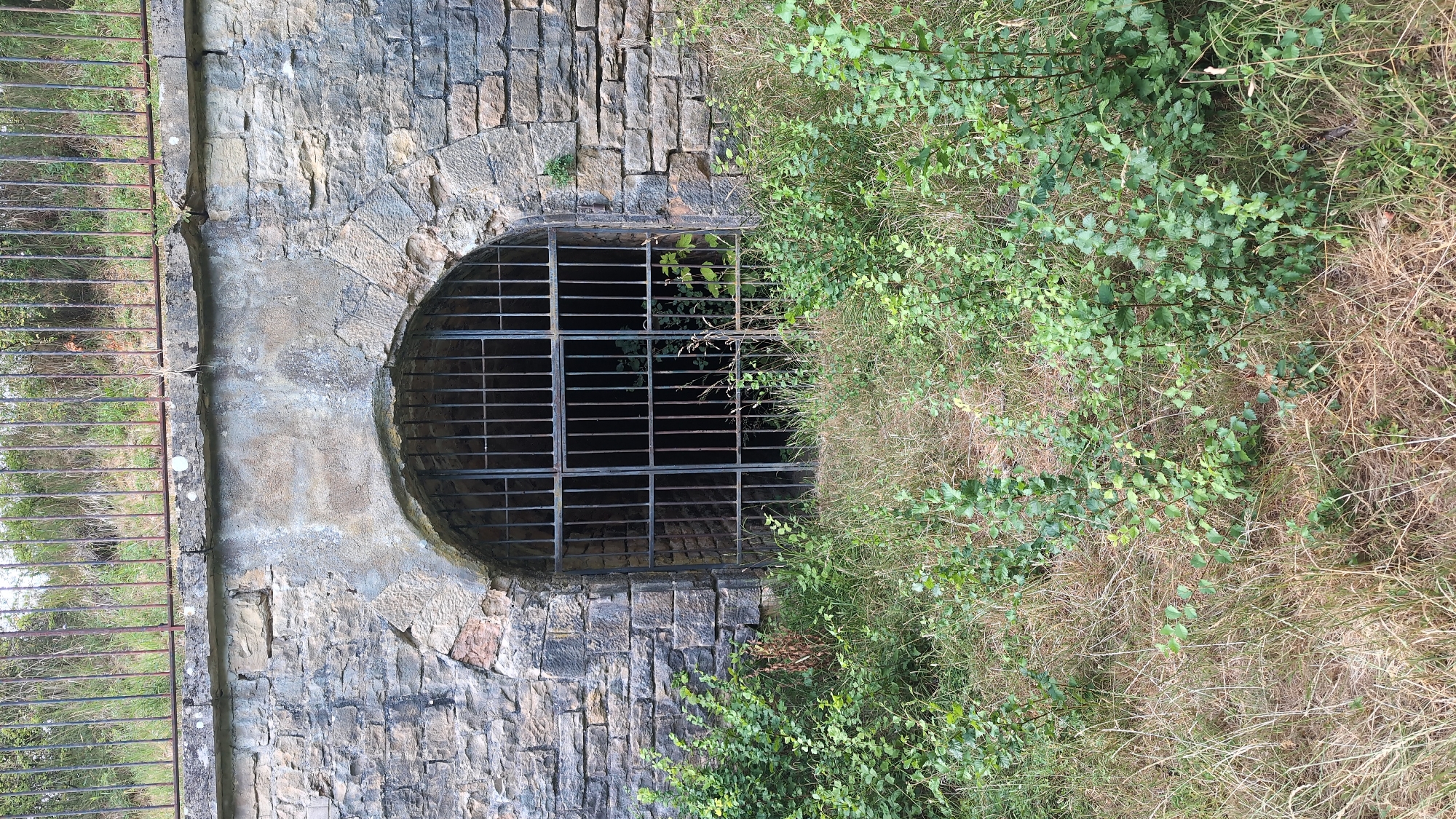 The image shows an arched stone opening covered by a metal grate, set into a stone wall. Above the opening is a horizontal stone slab, and above that is a rusted metal fence with a background of overgrown vegetation. The area in front of the opening is covered in dry grass and some leafy green bushes. The opening appears to be the entrance to a tunnel or underground structure. The scene is located in Saint-Apollinaire, France.