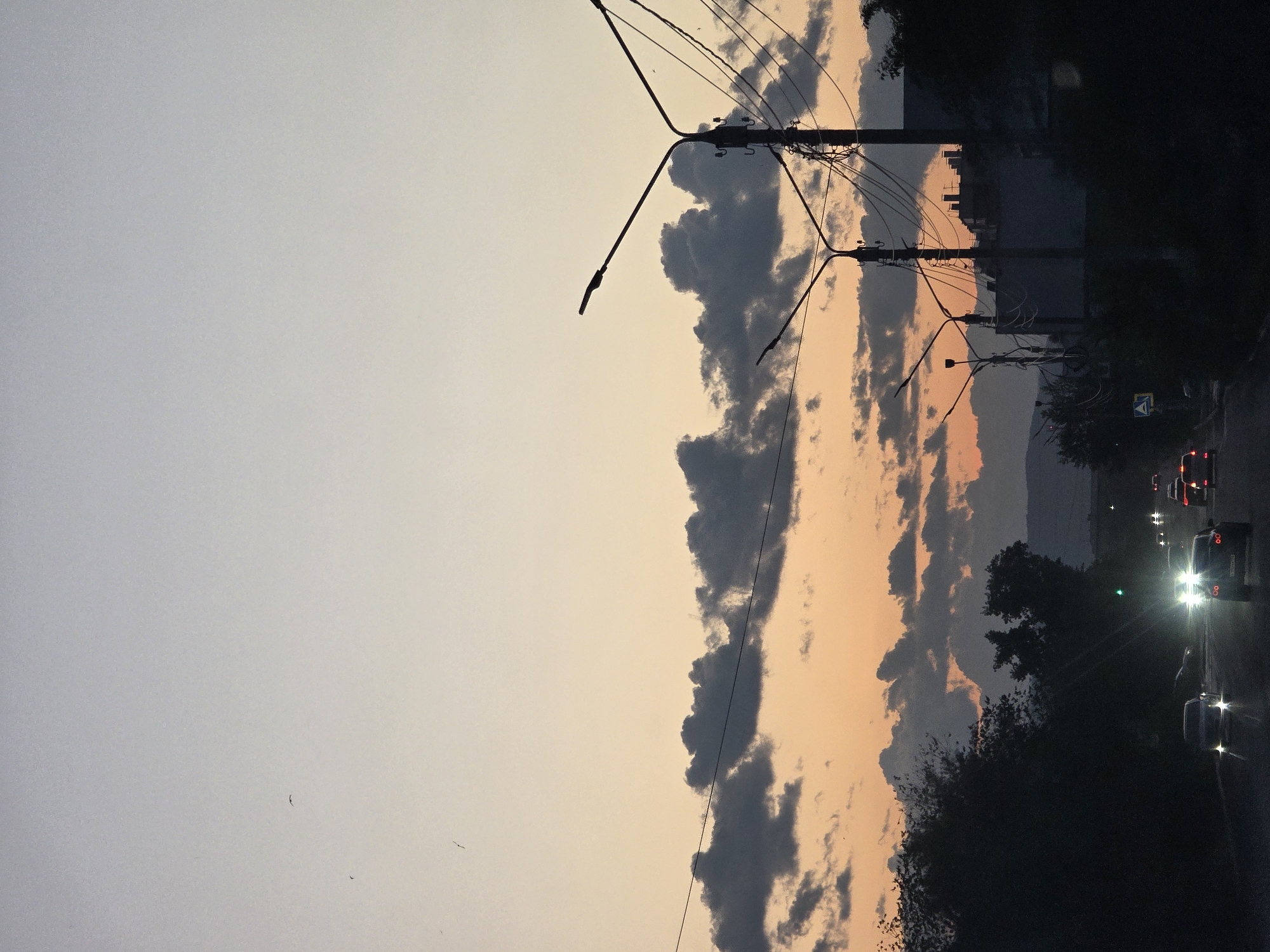 The image depicts a roadside scene at dusk. The sky is a gradient of pale gray at the top, transitioning to warm orange and pink hues near the horizon, with dark, dramatic clouds interspersed. Power lines and lampposts stretch across the frame, silhouetted against the colorful sky.
On the right side of the image, a road is visible with several cars driving. The headlights of some vehicles are illuminated, suggesting it is either very late dusk or the beginning of the night. Trees and foliage line the side of the road, adding to the darkening landscape. In the distance, faint outlines of buildings and possibly hills can be seen against the dusky sky. There is a traffic sign with a blue background and white markings visible on the right side of the road.
The overall mood is serene yet slightly melancholic, typical of twilight. The presence of cars on the road indicates it's a public thoroughfare, likely on the outskirts of a city or town. The weather appears clear, with the clouds adding visual interest to the sky. The orientation of the image is landscape, but the content is presented vertically as if the camera was tilted.