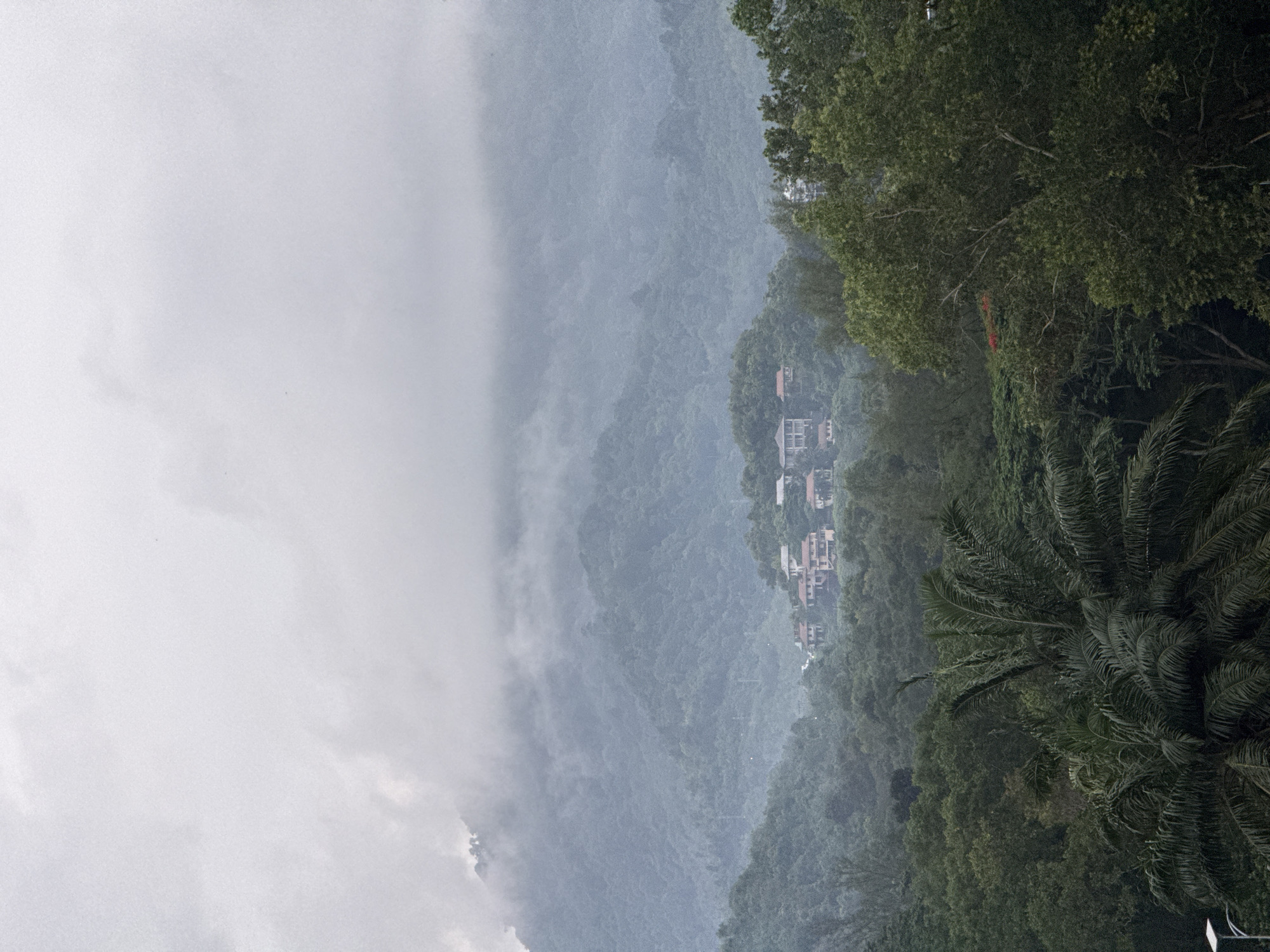 The image captures a misty mountain landscape in Kathu, Thailand. In the foreground, lush green foliage, including palm fronds and dense trees, dominates the lower portion of the frame. In the mid-ground, a cluster of residential buildings with red-tiled roofs is nestled on a hillside, partially obscured by the dense vegetation. The background features rolling mountains shrouded in thick, grey clouds and mist, creating a serene and somewhat ethereal atmosphere. Power lines and poles are visible through the trees, indicating the presence of human infrastructure within the natural setting. The sky is overcast, contributing to the soft, diffused light of the scene.