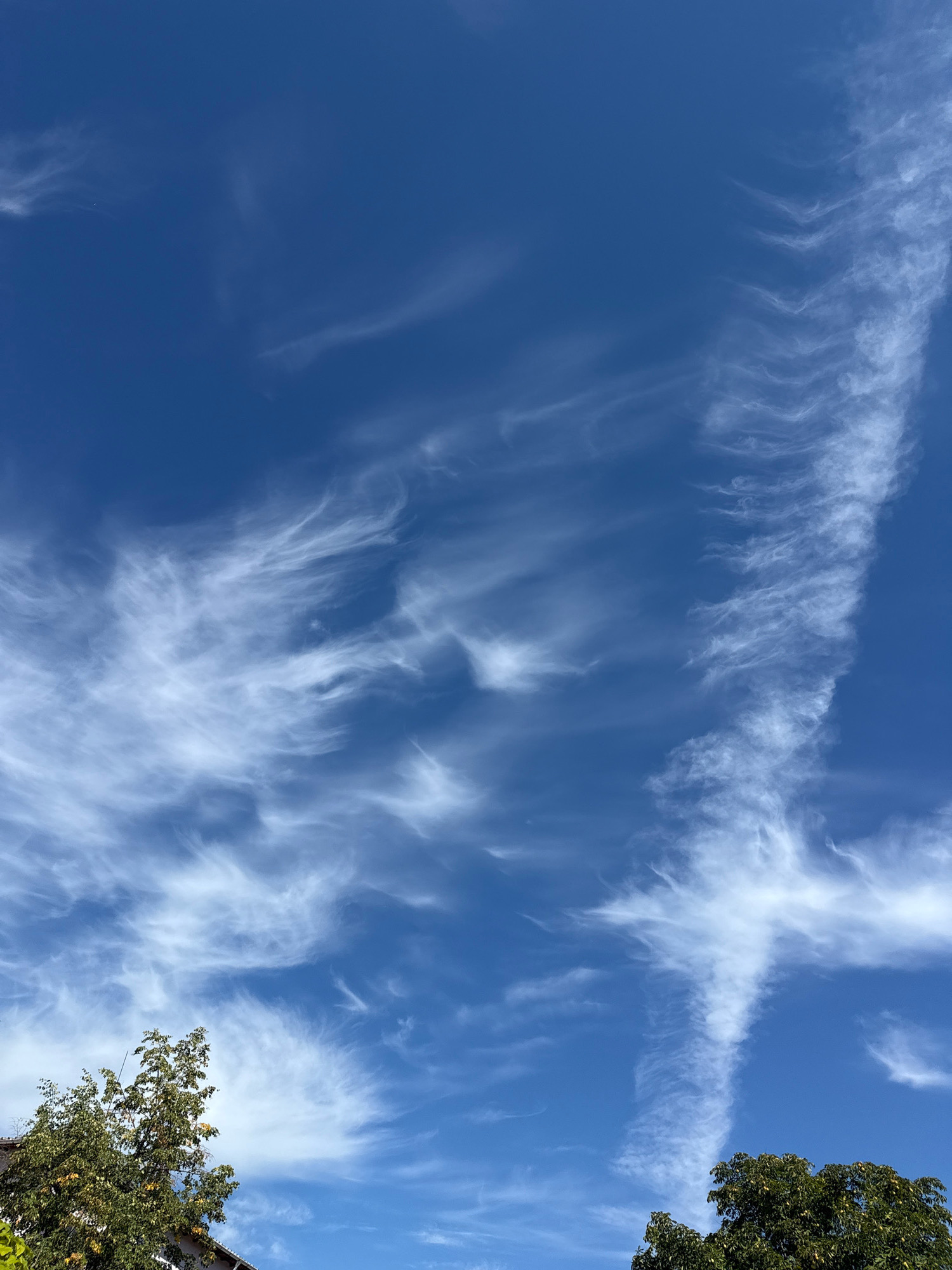 The image captures a clear, bright blue sky with wispy, white cirrus clouds. The clouds are distributed across the frame, with some appearing more feathery and diffused, while others form more defined streaks, particularly a prominent vertical formation on the right side. In the lower left and right corners, the tops of green trees are visible, suggesting an outdoor scene. The context of Strelcha, Bulgaria, indicates an urban or semi-urban environment. No people, animals, or specific man-made structures are discernible beyond the tree foliage, focusing the scene on the atmospheric conditions and vegetation.