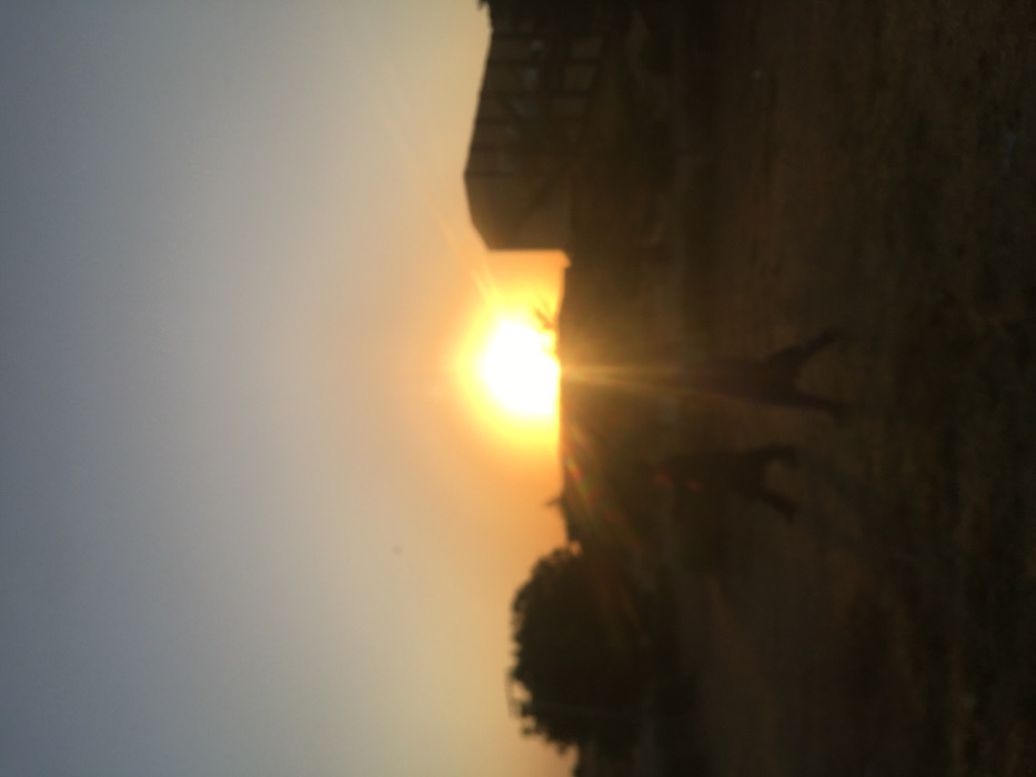 A sunset casts an orange glow over a landscape. A bright sun peeks through silhouetted structures. Below, blurry trees and what appears to be a grassy area dominate the lower portion. The image is taken at a low angle, emphasizing the expanse of the sky. The scene appears to be rural or suburban, with natural elements and man-made structures merging in the golden light.