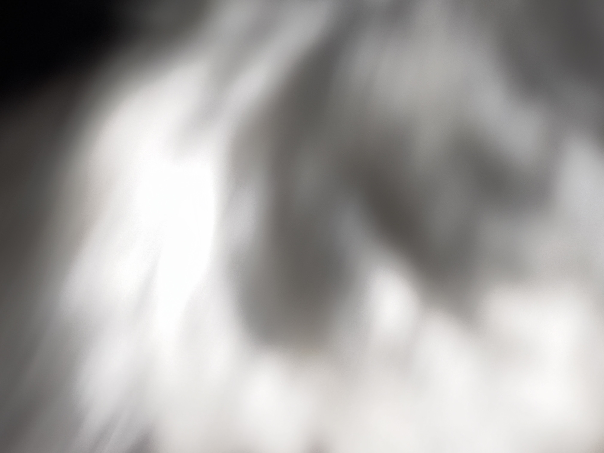 The image is an abstract, out-of-focus photograph with a monochrome color palette of whites, grays, and blacks. The lighting appears to be harsh and directional, creating bright highlights and deep shadows. There are no discernible subjects, objects, people, or actions depicted. The composition is characterized by soft, blurry forms and streaks of light, suggesting movement or a deliberate artistic effect rather than a specific scene. The background is dark and indistinct, with brighter areas fading into it. The overall impression is one of a textural or atmospheric study rather than a representational image. No specific location in Bila Tserkva, Ukraine, can be identified from this abstract visual.