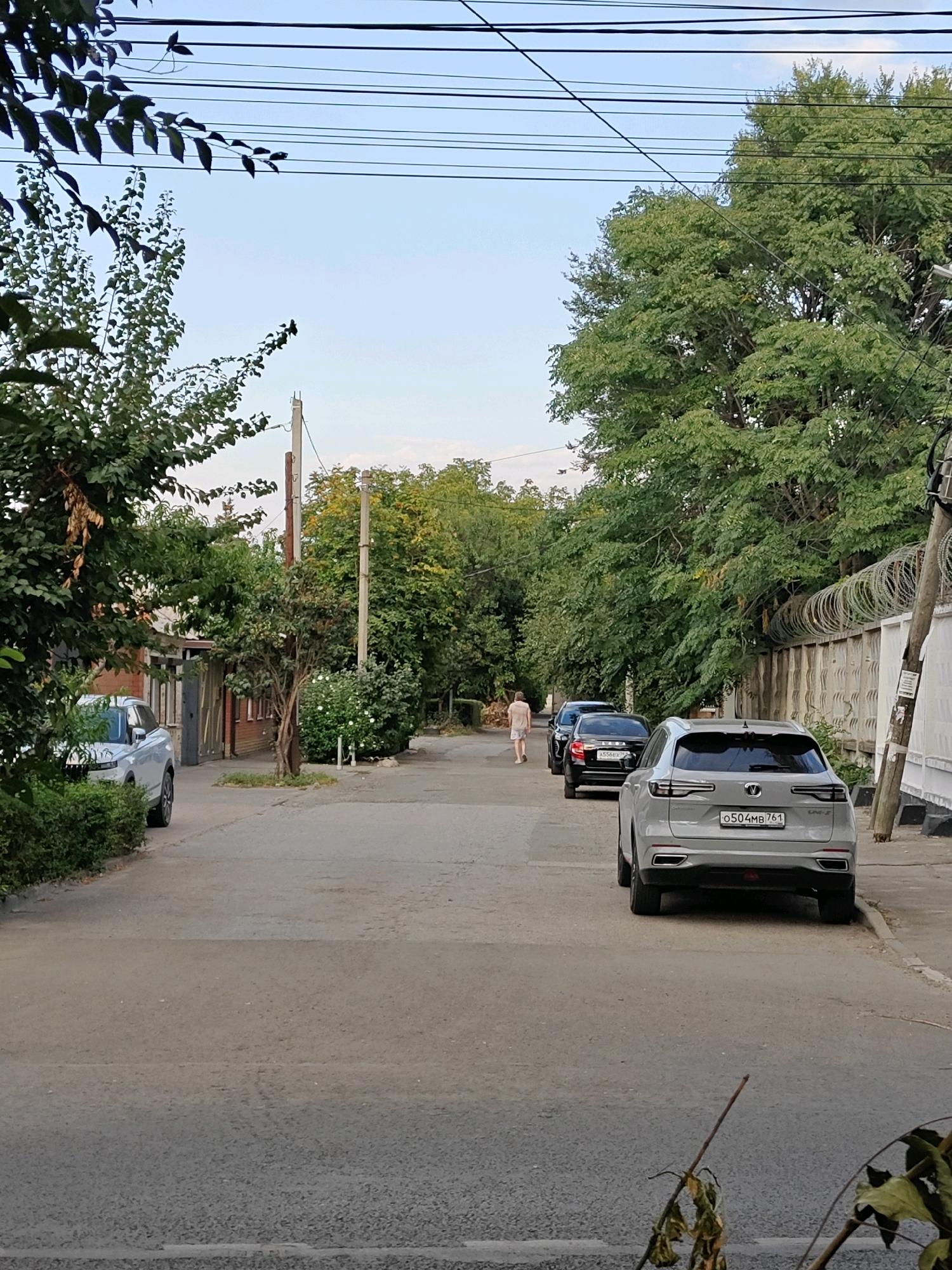 The image depicts a street scene in Rostov-on-Don, Russia, on a clear day with blue sky visible. A paved road runs through the center, lined with trees and buildings on both sides. On the left side of the road, a light-colored SUV is parked next to a building with red brick accents and a gray garage door. Further down the road, a person in light-colored clothing is walking away from the camera. Several parked cars are visible, including a black sedan and a silver SUV with the license plate "0504MB 761". A barbed wire fence runs along the right side of the road, adjacent to a white wall. Overhead power lines are present throughout the scene, and some dry branches with leaves are in the foreground.