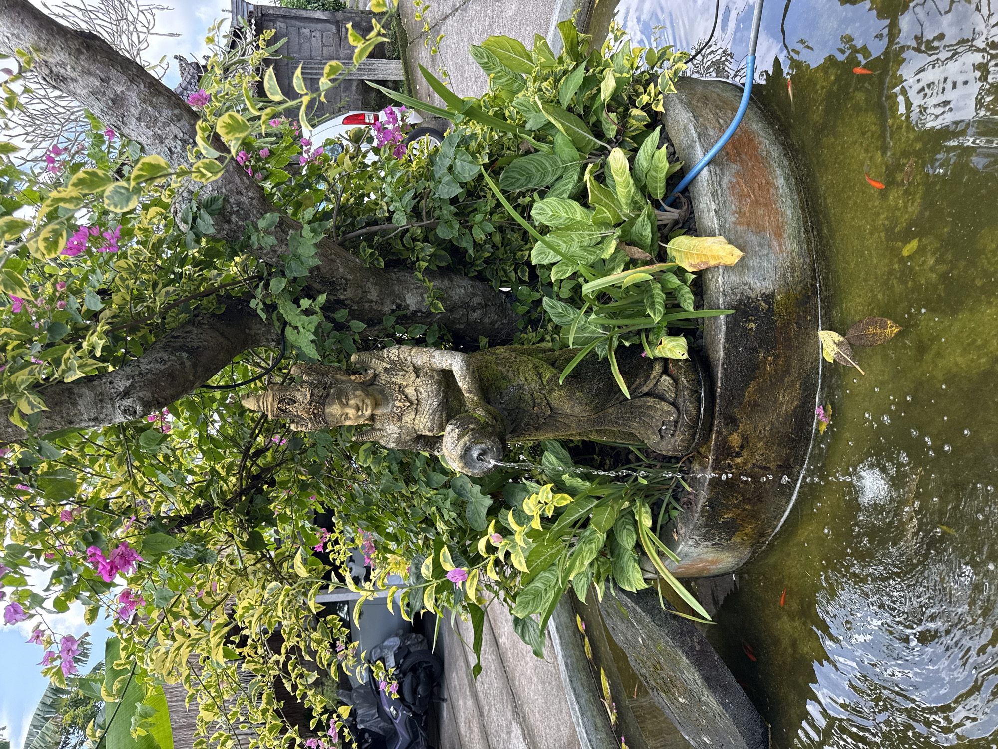 The image depicts a water feature, likely a small pond or fountain, located in Sukawati, Indonesia. A stone sculpture of a deity is positioned at the edge of the water feature, with water flowing from a spout near the base of the statue into the pond. Lush vegetation surrounds the statue and the edge of the pond. There are several orange fish visible in the pond's murky water. The overall setting appears to be a garden or outdoor space within a residential or commercial property.