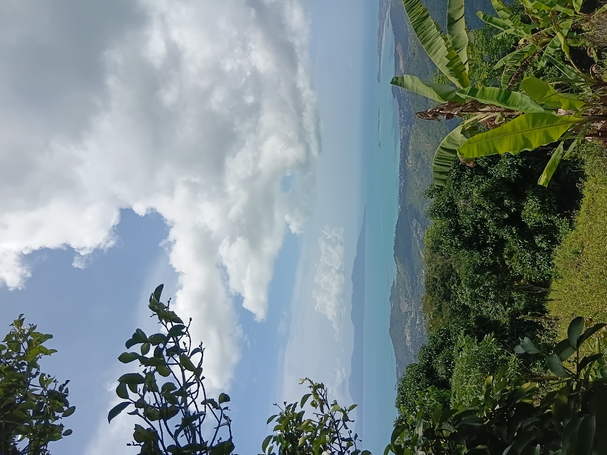 The image captures a panoramic view from a high vantage point in the Ko Samui District of Thailand, overlooking a coastal landscape. In the foreground, lush green foliage, including the broad leaves of banana plants, frames the scene. The middle ground reveals a verdant, rolling hillside dotted with buildings, suggesting a populated area. Beyond the hills, a vast expanse of turquoise ocean stretches to the horizon, where distant islands and a hazy coastline are visible. The sky above is a mix of blue sky and scattered, dramatic white clouds, indicative of tropical weather. The overall impression is one of a scenic, tropical vista.