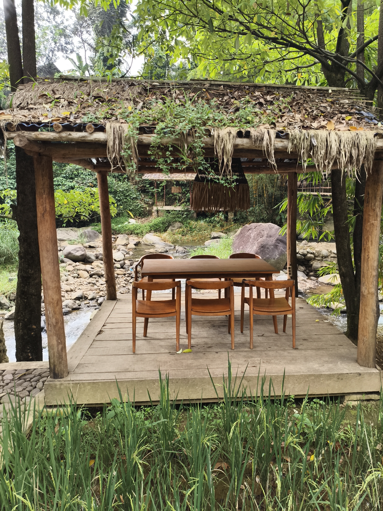 This image depicts a serene outdoor dining or relaxation area, a wooden gazebo, situated alongside a natural, rocky river in Babakan Madang, Indonesia. The gazebo features a rustic thatched roof, made from dried leaves and straw, with some green vines and foliage growing on it. Sturdy wooden pillars support the structure, and its floor is constructed from wooden planks.
Inside the gazebo, a rectangular wooden table is surrounded by four matching wooden chairs, which have slatted backs and seats. A decorative light fixture or hanging ornament, crafted from woven natural materials, hangs from the ceiling.
The scene is characterized by lush green vegetation, including tall trees and possibly bamboo, creating a vibrant, natural environment. The riverbed is strewn with various sizes of rocks, and clear water flows gently through it. A large, smooth, grey boulder is visible on the far bank of the river. In the immediate foreground, a patch of vibrant green rice paddies, partially submerged in water, highlights the agricultural landscape. Another small, similar gazebo-like structure is visible across the river in the background, nestled among the trees.
The lighting suggests it is daytime, possibly a bright but overcast day, as the light is diffused and even, emphasizing the rich greens of the foliage. The absence of people contributes to an overall sense of tranquility and a peaceful natural escape. There is no visible text in the image.