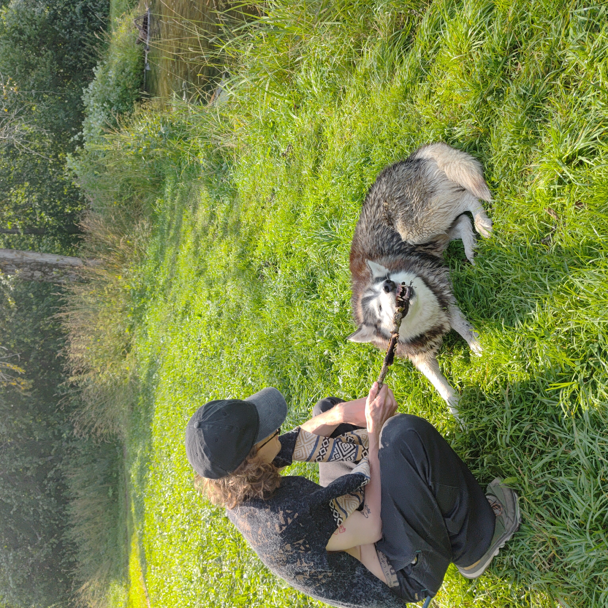 A person wearing a black baseball cap, a dark patterned sweater, and black pants is crouched on a grassy field, holding a stick that a dog is tugging on. The dog, a husky mix with grey and white fur, is lying on its side, actively engaged in the tug-of-war. The environment is a natural setting with lush green grass, trees in the background, and a body of water to the right of the frame. The scene appears to be a playful interaction between the person and the dog. The location is identified as Markovo, Russia.