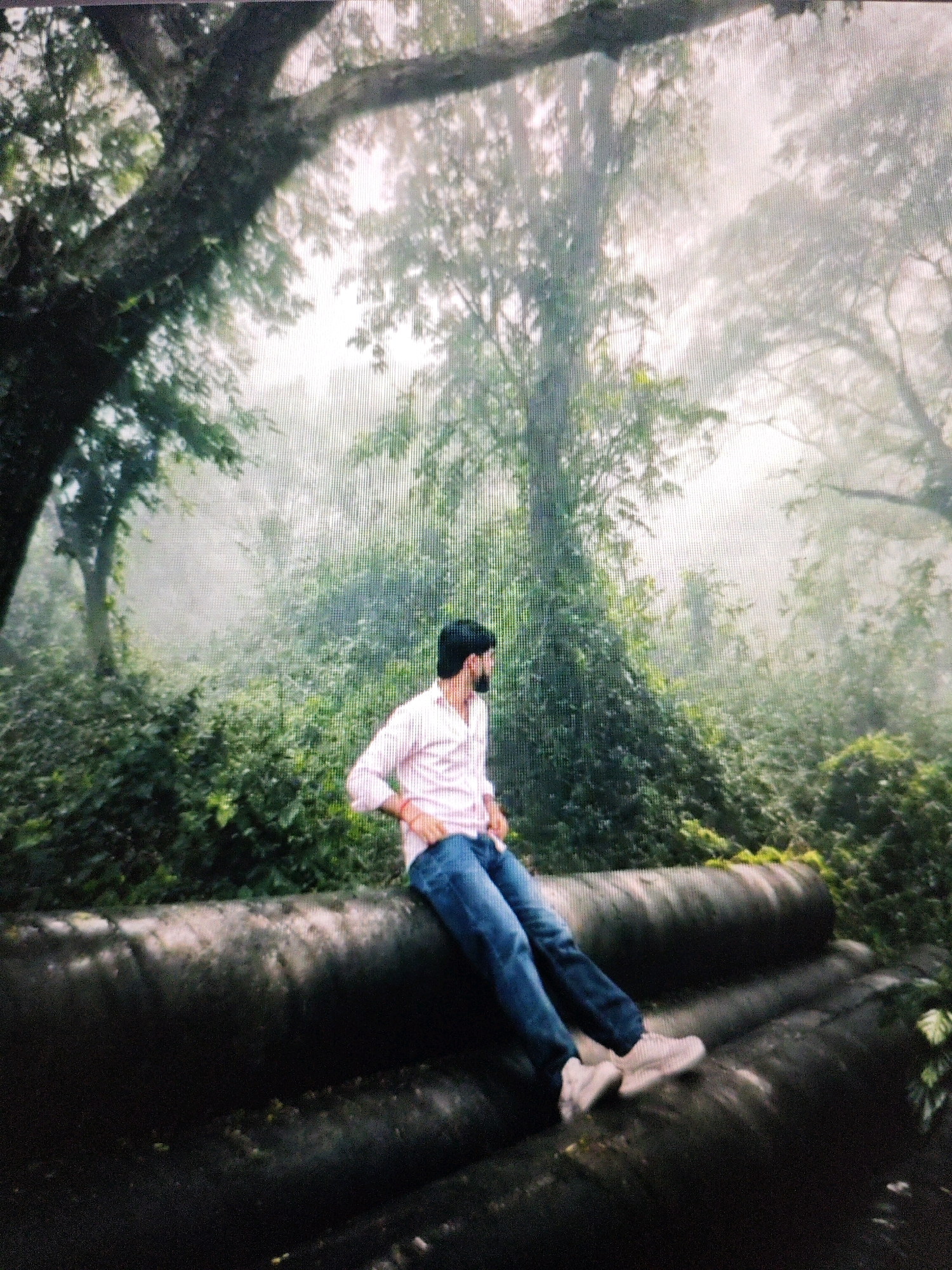 A man wearing a pink collared shirt and blue jeans is sitting on a large, dark, cylindrical object in a foggy, wooded environment. The man is facing away from the camera, looking to his left. He has dark hair and a beard. His right hand is resting on his knee, and his left arm is bent. He is wearing white sneakers. The cylindrical object he is sitting on appears to be made of concrete or stone and has a rough texture. The background is filled with lush green foliage and trees, obscured by a thick fog that creates a hazy, ethereal atmosphere. The lighting suggests it is daytime, with light filtering through the trees and fog. The scene evokes a sense of tranquility and mystery. There is no clear indication of the specific location within Hyderabad, India, as the image lacks any identifying landmarks or street signs.