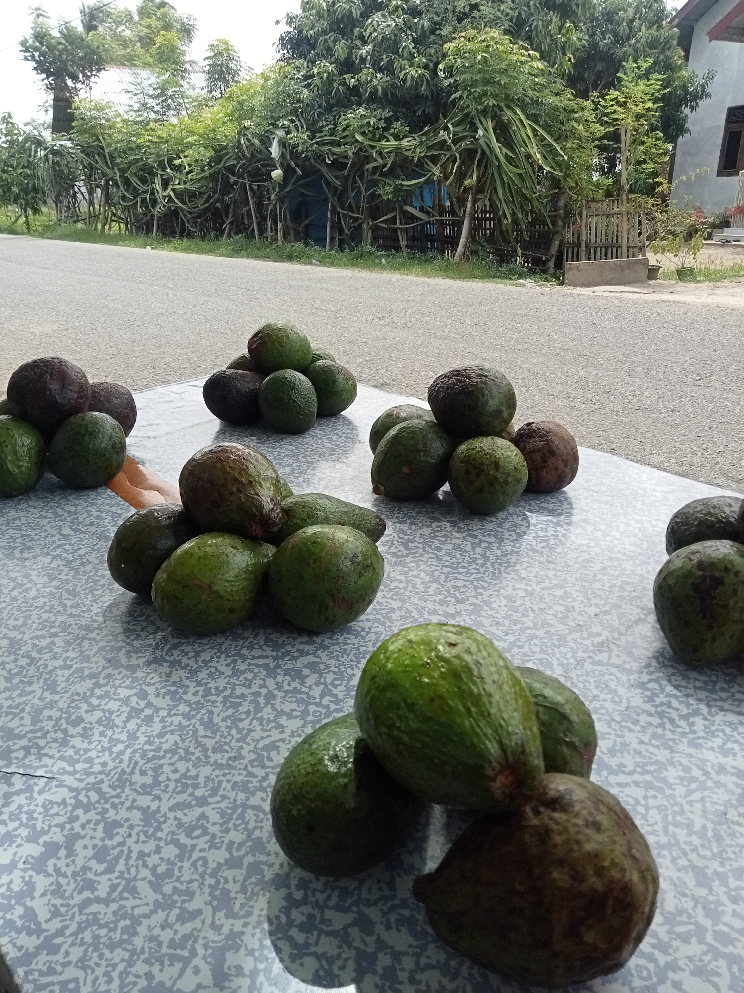 A total of 27 avocados are displayed on a table with a grey and white speckled pattern. The avocados are arranged in various piles. In the foreground, there are three piles of avocados. The pile on the left contains two dark-skinned avocados. The middle pile has three green avocados, with one slightly darker than the others. The pile on the right contains two dark-skinned avocados. Behind these, to the left, is a pile of five avocados, four of which are green and one is dark-skinned. To the right of this pile, and slightly behind it, is another pile of five avocados, all of which are dark-skinned. Further to the right, there are two piles of avocados. The front pile has two green avocados, and the back pile contains three dark-skinned avocados. The table is positioned outdoors, with a paved road in the background. Lush green vegetation, including what appear to be dragon fruit plants and trees, forms a dense border behind the road. A building, partially visible on the right side of the image, suggests a residential or commercial area. The sky is overcast, indicating a diffused light source. The scene is located in Matangsijuek Timur, Indonesia.