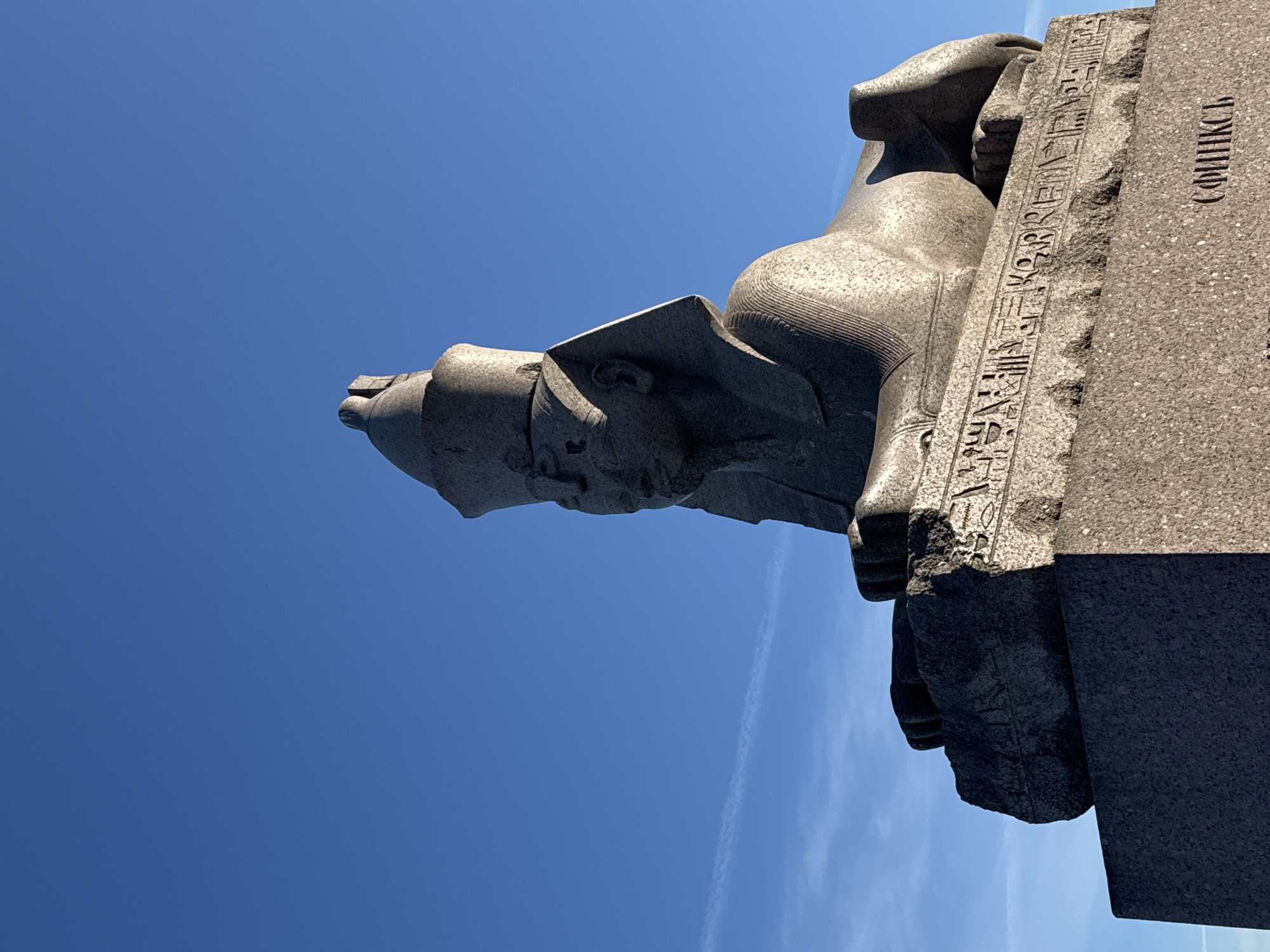 A large, ancient Egyptian-style granite sphinx statue is prominently featured against a clear, expansive blue sky. The image captures the sphinx from a low angle, looking upwards, highlighting its monumental scale. The statue depicts a human head with a pharaonic nemes headdress, characteristic of ancient Egyptian art, attached to the body of a lion. The stone surface exhibits a granular texture, suggesting granite, with visible details on the sculpture's weathered surface.
Adjacent to the sphinx's head, an upright stone pedestal or stele is visible. This structure is adorned with carved ancient Egyptian hieroglyphs along its side. On the outer edge of this pedestal, written vertically in Cyrillic script, is the word "СФИНКС" (SFINKS), meaning "Sphinx."
The background is a vast, cloudless blue sky, indicative of bright, clear daytime weather. A faint, thin white contrail is visible in the upper right portion of the sky. No other subjects or activities are present; the scene focuses solely on the static, imposing statue. The strong sunlight casts subtle shadows and illuminates the details of the sphinx, conveying a sense of grandeur under an open sky. This statue is located in Saint Petersburg, Russia.