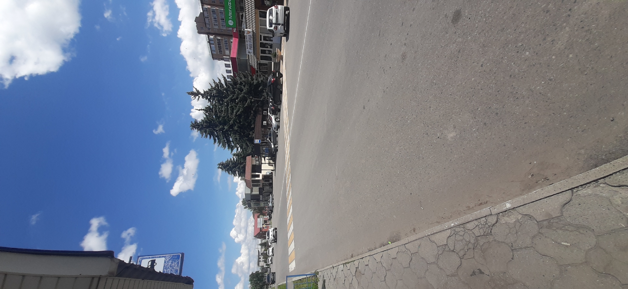 The image depicts a street scene in Yessentukskaya, Russia, under a bright blue sky with scattered white clouds. The perspective is from the side of a road, looking down its length. On the left, a sidewalk with cracked paving stones runs along the road, bordered by a metal fence. A blue sign with a white symbol, possibly indicating public transport, is visible on the left side of the image.
The road itself is asphalt with a white lane marking. A pedestrian crossing with yellow and white stripes is prominent in the foreground. Several cars are visible on the road and parked along the side. In the middle ground, buildings line the street, including shops with awnings and signage. One sign reads "МЕГАФОН" (Megafon), a telecommunications company, and another has Cyrillic text that appears to be related to a store or market. Tall coniferous trees are planted in front of some of the buildings. Further down the street, more buildings, including a multi-story residential building, are visible. The scene appears to be a typical urban or suburban street on a sunny day. There are no people clearly visible in the frame.