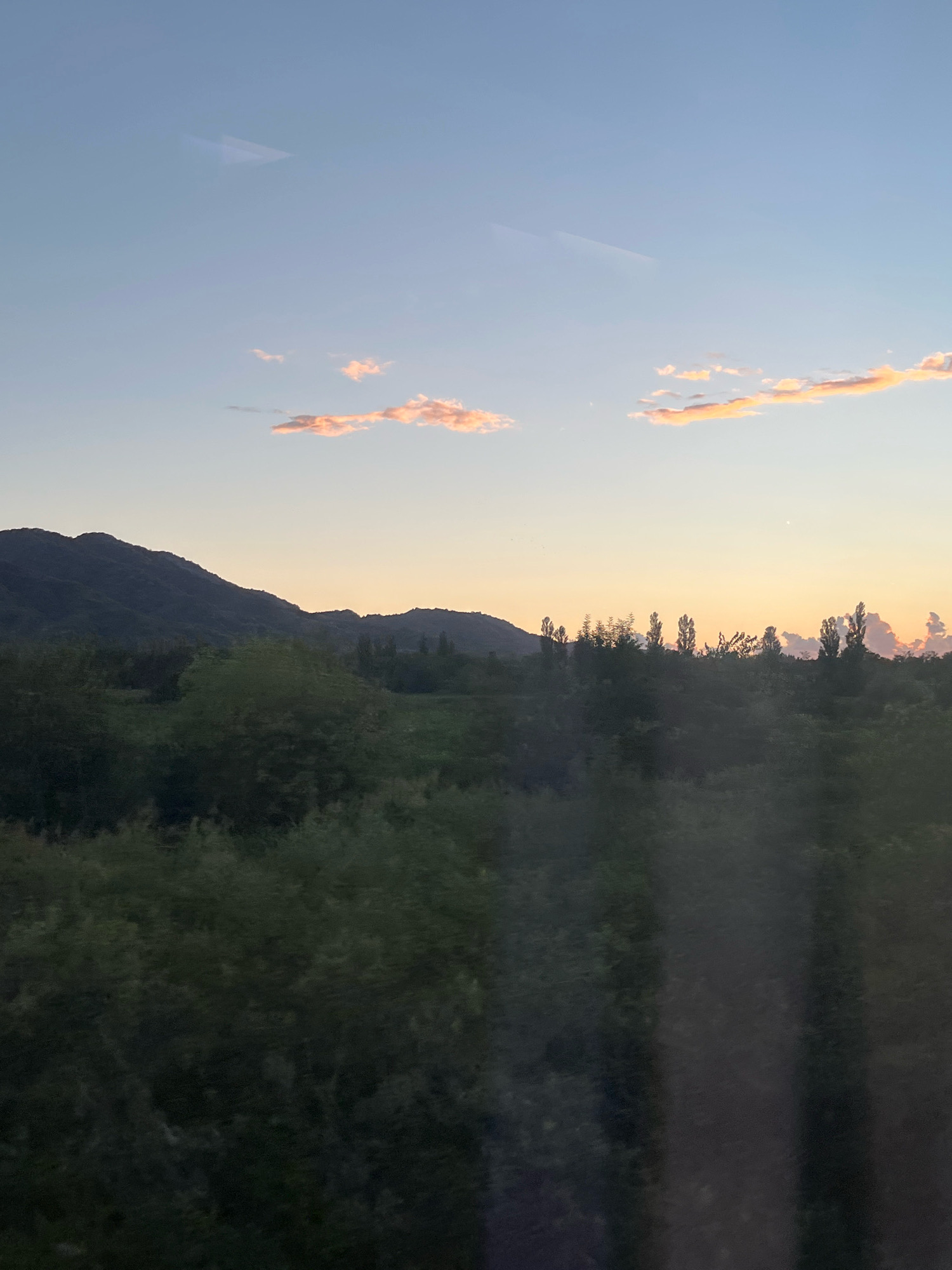 The image depicts a serene natural landscape at dusk, with rolling hills and a vast sky. The sky is a gradient of pale blue near the top, transitioning to a soft orange and yellow near the horizon, illuminated by the setting sun. A few wispy clouds, tinged with pink and orange, are scattered across the upper portion of the sky.
In the mid-ground, a range of dark, silhouetted hills stretches across the landscape. The foreground is dominated by lush, dense vegetation, appearing as dark green masses of trees and shrubs. The texture of the foliage is varied, suggesting different types of plant life. Scattered among the vegetation, particularly towards the right side of the image, are tall, slender trees with distinct, almost columnar shapes, some reaching towards the sky. Their silhouettes are clearly defined against the lighter sky.
The overall impression is one of tranquility and natural beauty, characteristic of a rural setting. The lighting suggests the golden hour, a period known for its soft, warm light. The scene appears to be an outdoor panorama, possibly taken from a slight elevation or a moving vehicle due to the blur in the foreground vegetation, suggesting movement.
Based on the provided context of "ლესის თემი, Georgia," this image likely represents a rural or semi-rural area within that administrative unit. The landscape is consistent with the topography and vegetation found in many parts of Georgia, featuring rolling hills, fertile valleys, and a variety of flora. The presence of a mountain range in the background is also common in the Georgian landscape. The tall, slender trees could be poplars or similar species often found in agricultural or riverine areas in Georgia.