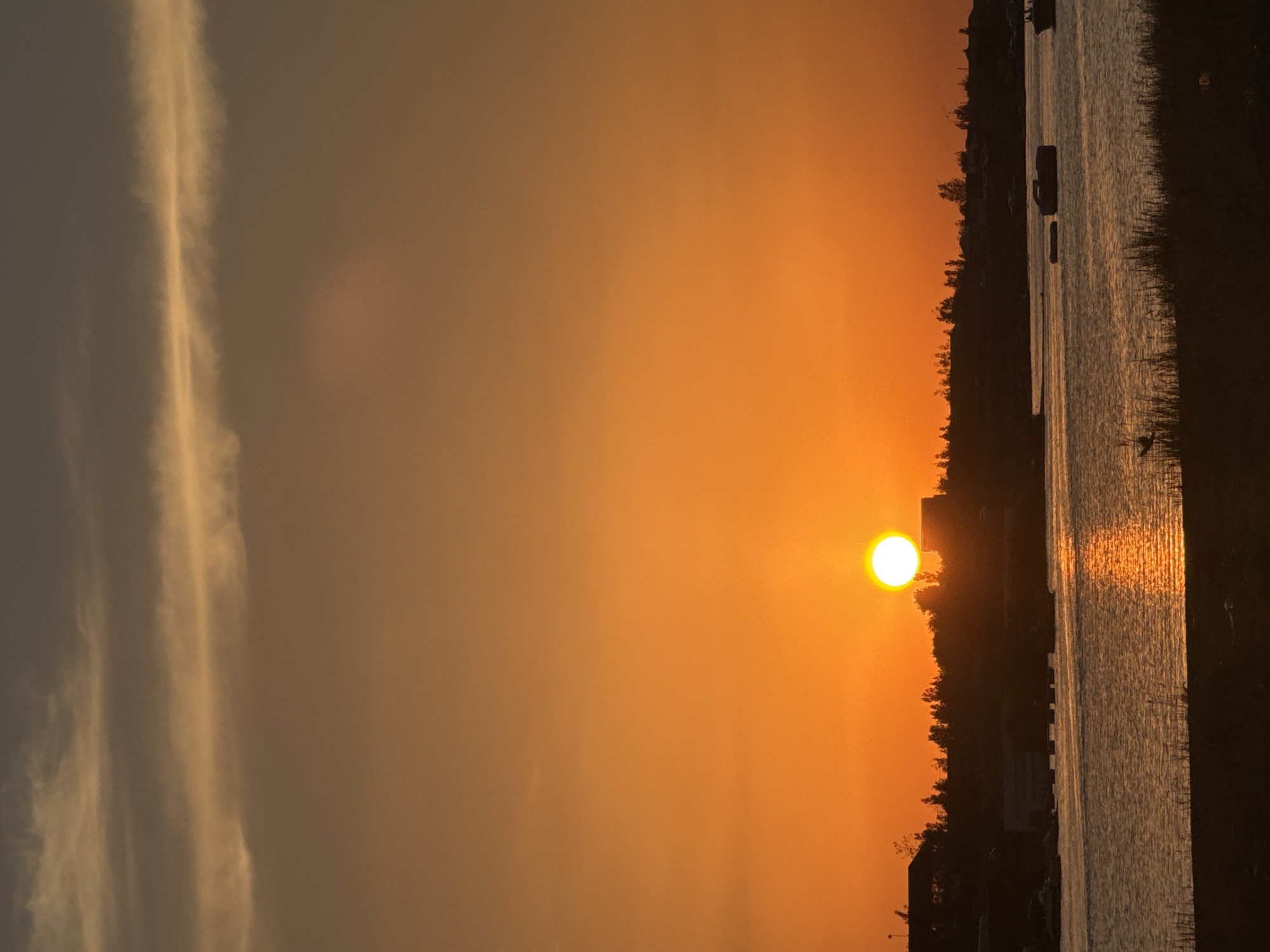 This is a vertical, eye-level, medium shot of a sunset over a body of water, likely a lake or river, in the city of Ақши, Kazakhstan. The sun, a bright white disc with a visible halo, is positioned slightly to the left of center, near the horizon line. The sky is a gradient of warm colors, transitioning from a deep orange near the sun to a lighter, more muted orange and then a dusky brown at the top. A horizontal band of thin, wispy clouds, tinged with yellow and white, stretches across the upper portion of the sky.
The foreground features the dark, silhouetted outline of land along the water's edge, with some tall grasses or reeds visible in the lower right corner. A body of water, reflecting the sunset's orange glow, occupies the middle ground. The water appears calm with subtle ripples. On the far bank, silhouetted against the bright sky, is a dark treeline interspersed with what appear to be low-rise buildings or structures, including a prominent rectangular building on the right. Several small boats, also in silhouette, are visible on the water, with one larger, darker object appearing to be a more substantial vessel. The overall atmosphere is serene and tranquil, with the setting sun creating a dramatic and warm display.