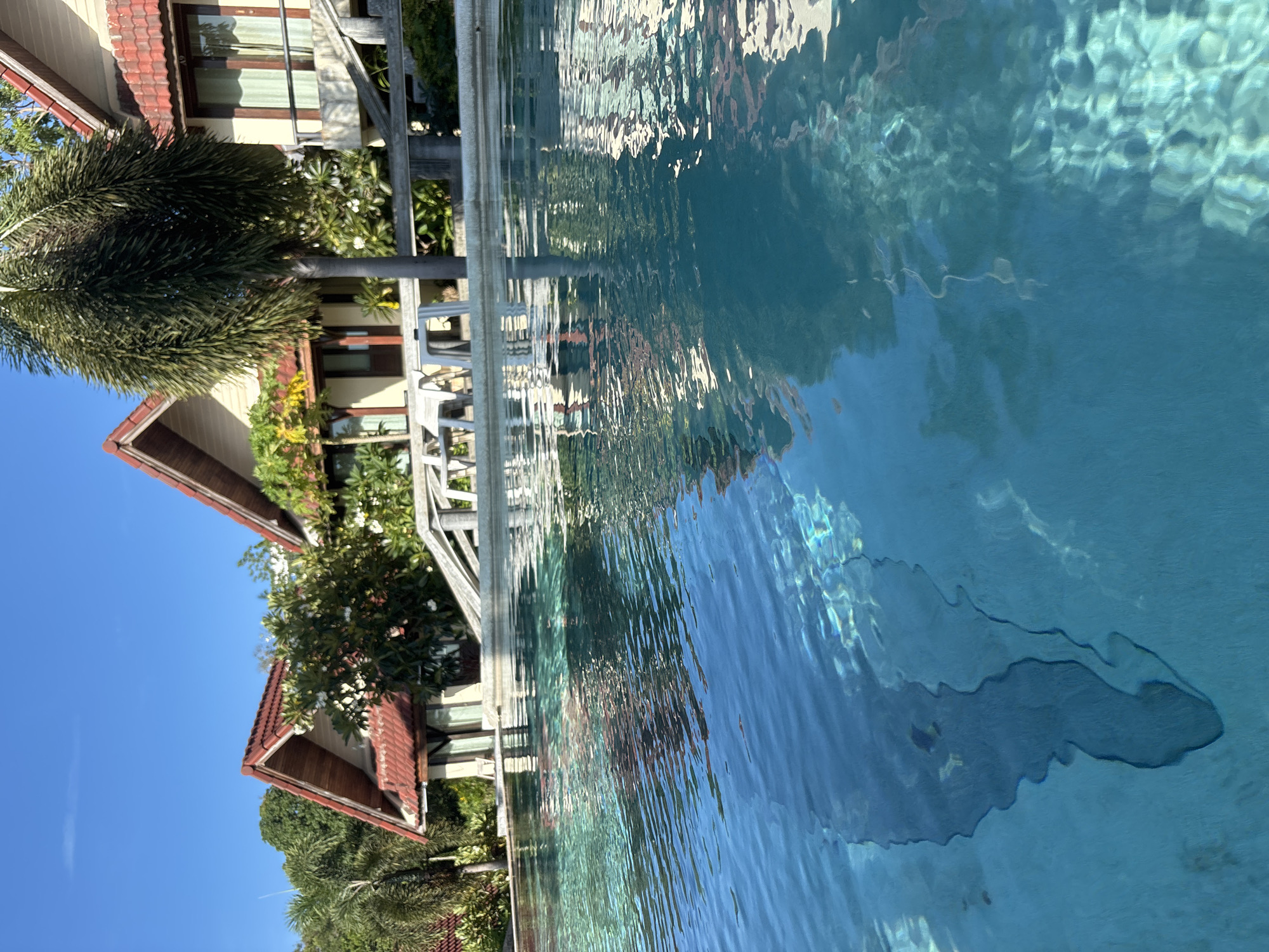 The image depicts a poolside view with a clear blue sky overhead. In the background, several resort-style buildings with red tile roofs are visible, surrounded by lush green trees and palm trees. A swimming pool occupies the foreground, its surface rippling with sunlight. The pool's clear water reveals the textured bottom and casts reflections of the buildings and trees. A shadow of what appears to be a palm tree is cast on the pool floor. White plastic chairs and tables are arranged near the pool's edge. The scene suggests a tropical vacation setting in a warm climate.