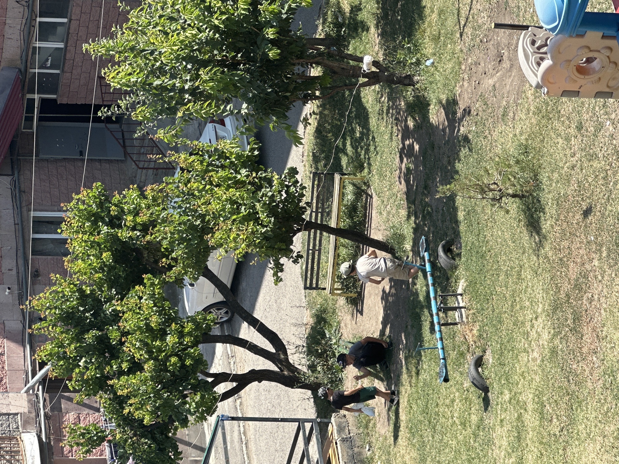 The image depicts an outdoor scene, likely a residential courtyard in Gyumri, Armenia, on a sunny day. In the foreground, a seesaw with blue metal frame and black tires is situated on a grassy area. Two boys are near the seesaw; one, wearing a black t-shirt and shorts, is holding a white bag, while another, crouched down, is looking towards the seesaw. A third boy, in a light-colored t-shirt and shorts, is standing facing away from the camera, also near the seesaw.
Behind them, a yellow bench sits under the shade of a large tree. The background reveals a building with a brick facade, an open doorway with a metal railing leading to it, and a white car parked on a paved area. Several trees with green foliage are scattered throughout the scene. The environment appears to be a somewhat unkempt urban residential area.