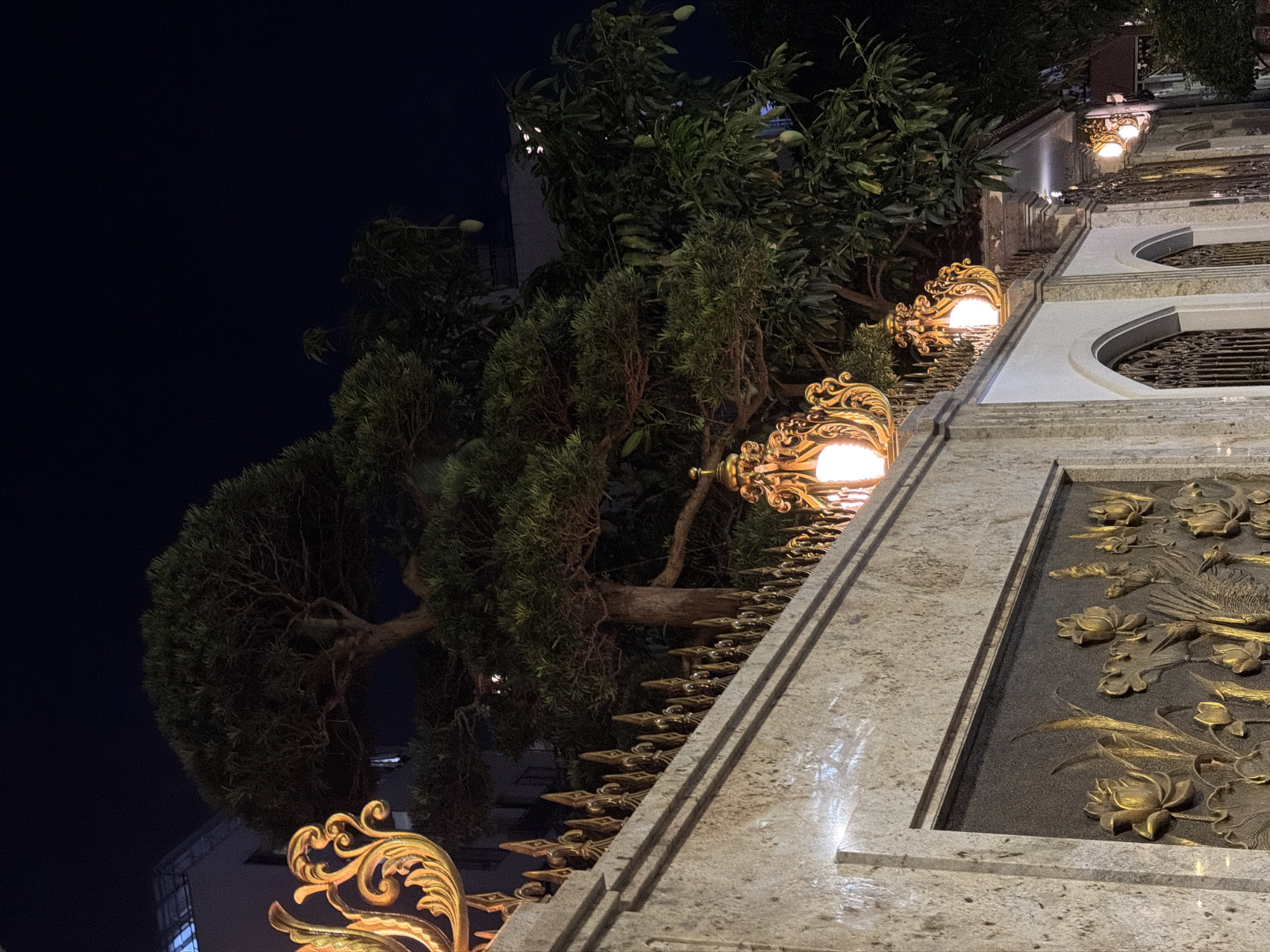 The image depicts an exterior view at night of a building or structure in Đà Nẵng, Vietnam. The frame is filled with architectural details, predominantly featuring a granite-like stone structure adorned with ornate golden decorations. The right side of the image showcases a wall with raised carvings of lotus flowers and what appears to be a bird of paradise, possibly a peacock. A series of decorative golden lamps, each containing a light bulb, are affixed along the top edge of the wall, leading towards the background.
Green foliage, possibly from trees, is visible to the left of the wall and encroaching on the frame. In the background, there are hints of other buildings or structures. The sky is dark and there are no people visible in the frame. The overall scene is well-lit, accentuating the textures and golden embellishments of the stone structure.