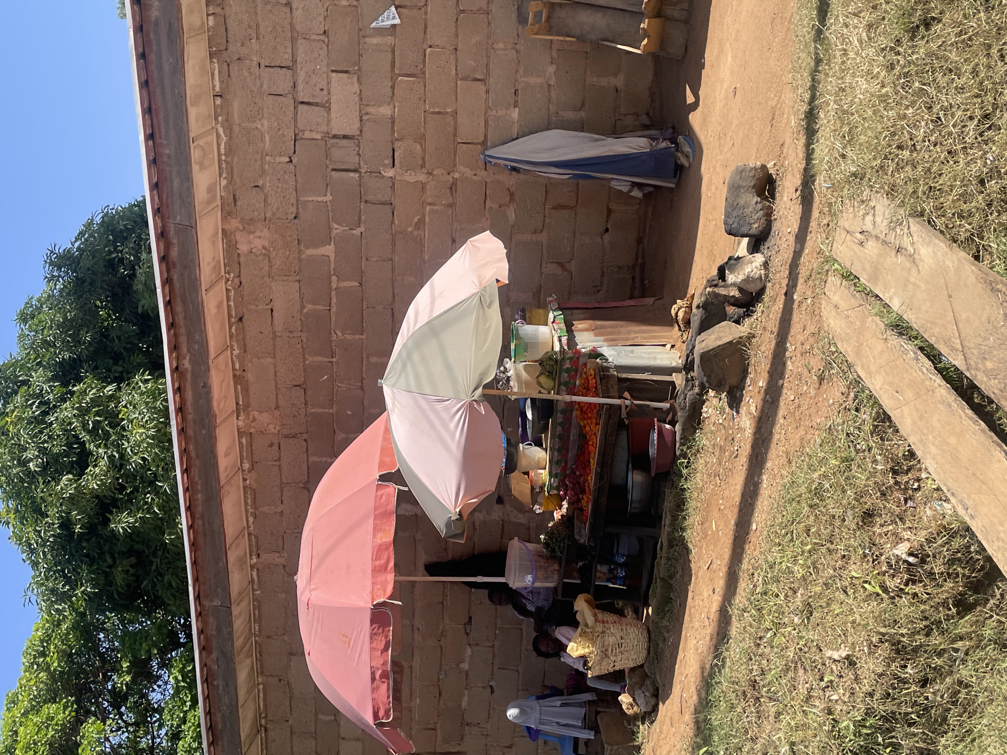 A roadside market scene is depicted in Gura Top, Nigeria. Two market stalls are set up under open umbrellas. The stall on the left is covered by a large pink umbrella, and a woman sits behind it. A young girl is seated in front of the stall, in front of a woven basket. The stall on the right is covered by a smaller pink and green umbrella and displays a variety of produce, including what appears to be tomatoes and peppers. Several bowls and containers are also visible. A brick wall forms the backdrop for the stalls. To the right of the stalls, a folded blue and white cloth is hung on the wall, and a wooden structure with some shelving is present. The ground is a mix of dirt and dry grass, with two wooden planks laid across a shallow ditch in the foreground. Trees with lush green foliage are visible above the wall, and the sky is clear and blue. The scene is illuminated by bright sunlight, casting shadows.