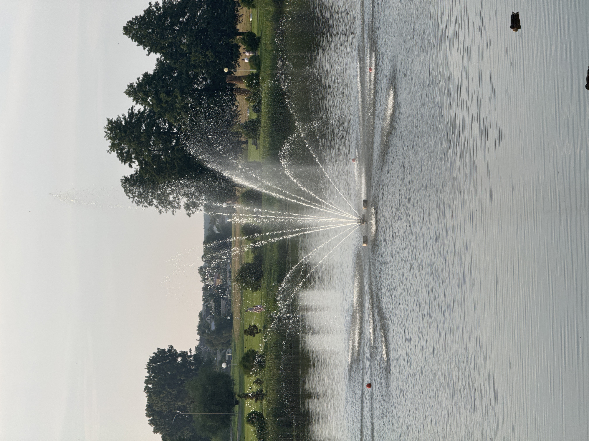 The image depicts a wide shot of a tranquil lake with a central fountain actively spraying water upwards and outwards, creating a delicate mist. The lake's surface is calm, showing gentle ripples and reflections of the overcast sky and surrounding greenery. In the background, a well-maintained grassy area is visible, dotted with trees and some distant buildings that suggest a park or urban edge. Two individuals, appearing to be walking, are present on the grassy bank, along with a few smaller trees and bushes. The overall scene conveys a peaceful, daytime atmosphere. The location is identified as the park area of Nesvizh Castle in Nesvizh, Belarus.