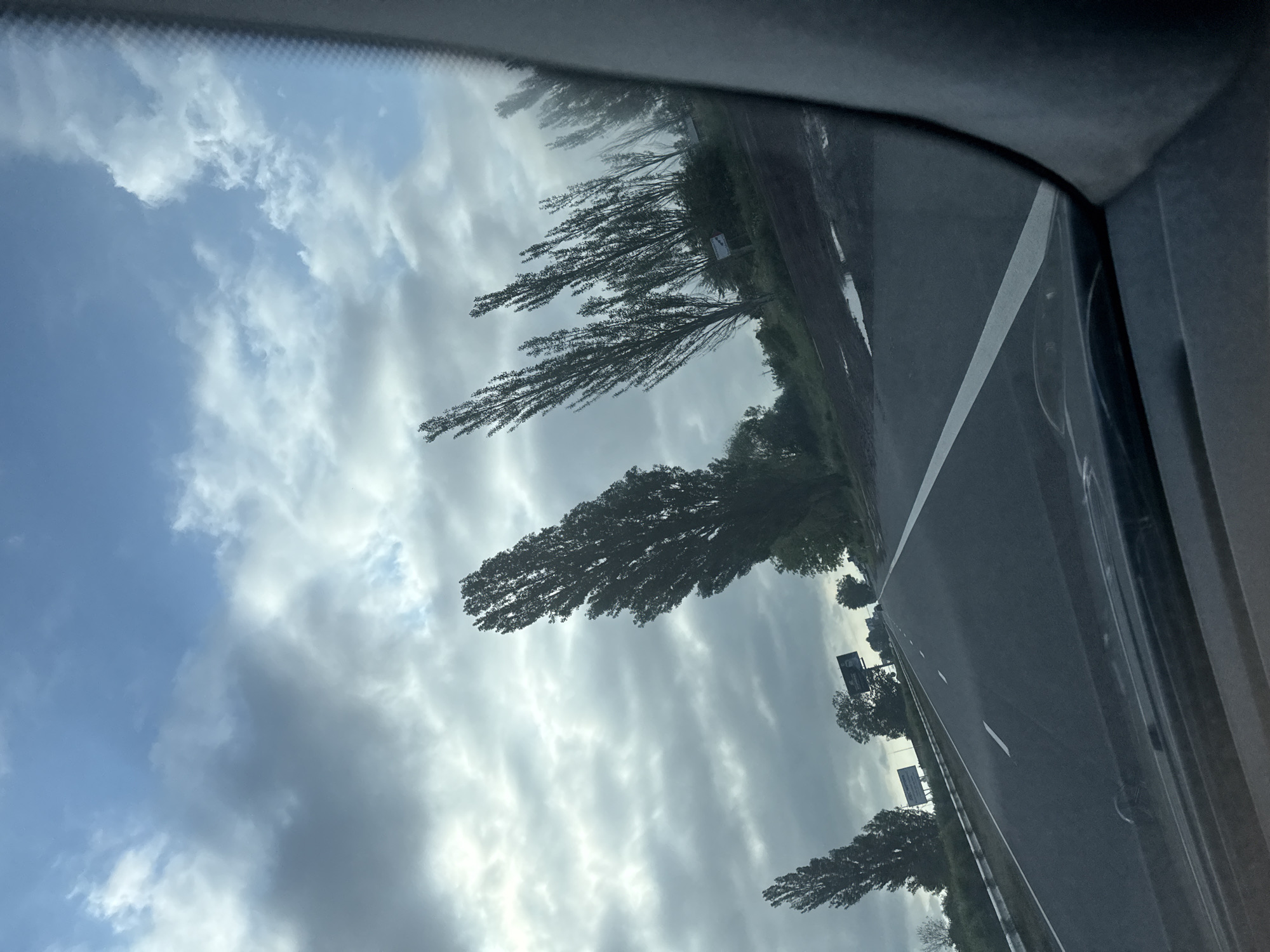 The image depicts a highway in Varser, Armenia, viewed from inside a vehicle. Tall, slender trees line the right side of the road, their branches reaching towards a cloudy sky. The road is wet, with puddles reflecting the overcast sky, suggesting recent rainfall. The sky is a mix of blues and grays, with clouds obscuring the sun. There are signs visible along the roadside. The perspective is from the driver's seat, looking forward. The overall scene conveys a sense of travel through a somewhat dreary, yet scenic, landscape.