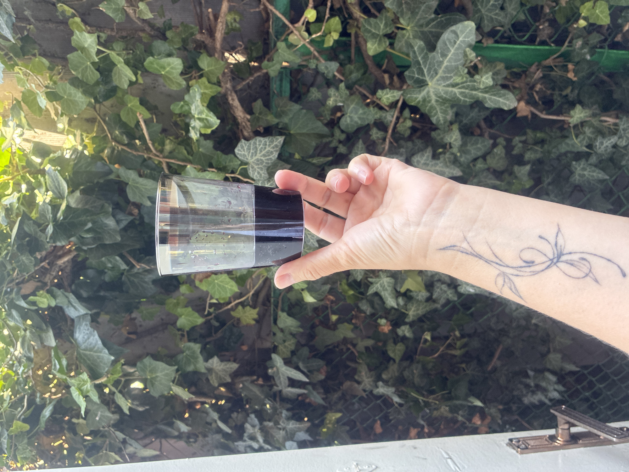 A close-up shot shows a person's forearm and hand holding a clear plastic cup filled with a dark liquid, possibly wine or juice. The cup has a silver rim. The person has a delicate, abstract tattoo on their forearm. The background is out of focus, dominated by lush green ivy covering a fence and possibly a wall. Sunlight filters through the leaves, creating bright spots of illumination. A white doorframe and a metal door handle are visible on the far left side of the image. The overall setting appears to be an outdoor space, possibly a garden or patio, in Gelendzhik, Russia.