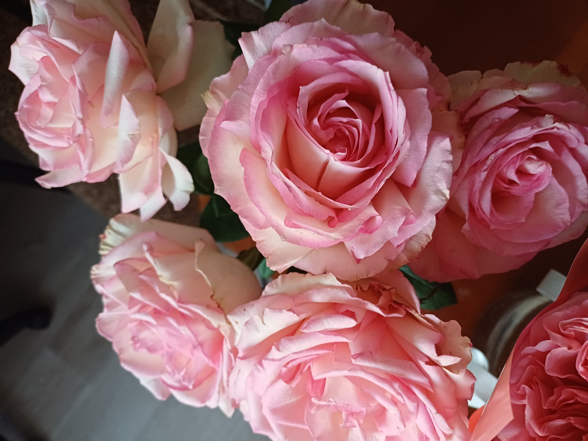 This image displays a close-up, overhead view of a bouquet of pink roses. The roses are in various stages of bloom, with some fully open and others still tightly furled. The petals are a soft pink, transitioning to a lighter, almost white hue at their edges. The lighting appears to be natural, casting gentle shadows that highlight the delicate texture and layered structure of the petals. Some of the roses show slight imperfections, such as minor creases or discoloration on the edges, adding to their natural beauty. The background is dark and indistinct, with hints of a brown surface and what might be a dark floor or table. The overall impression is one of natural beauty and a still-life arrangement of flowers. There is no discernible text, people, or specific activity or event taking place. The context suggests an indoor setting, perhaps a home or studio, where the roses are displayed.