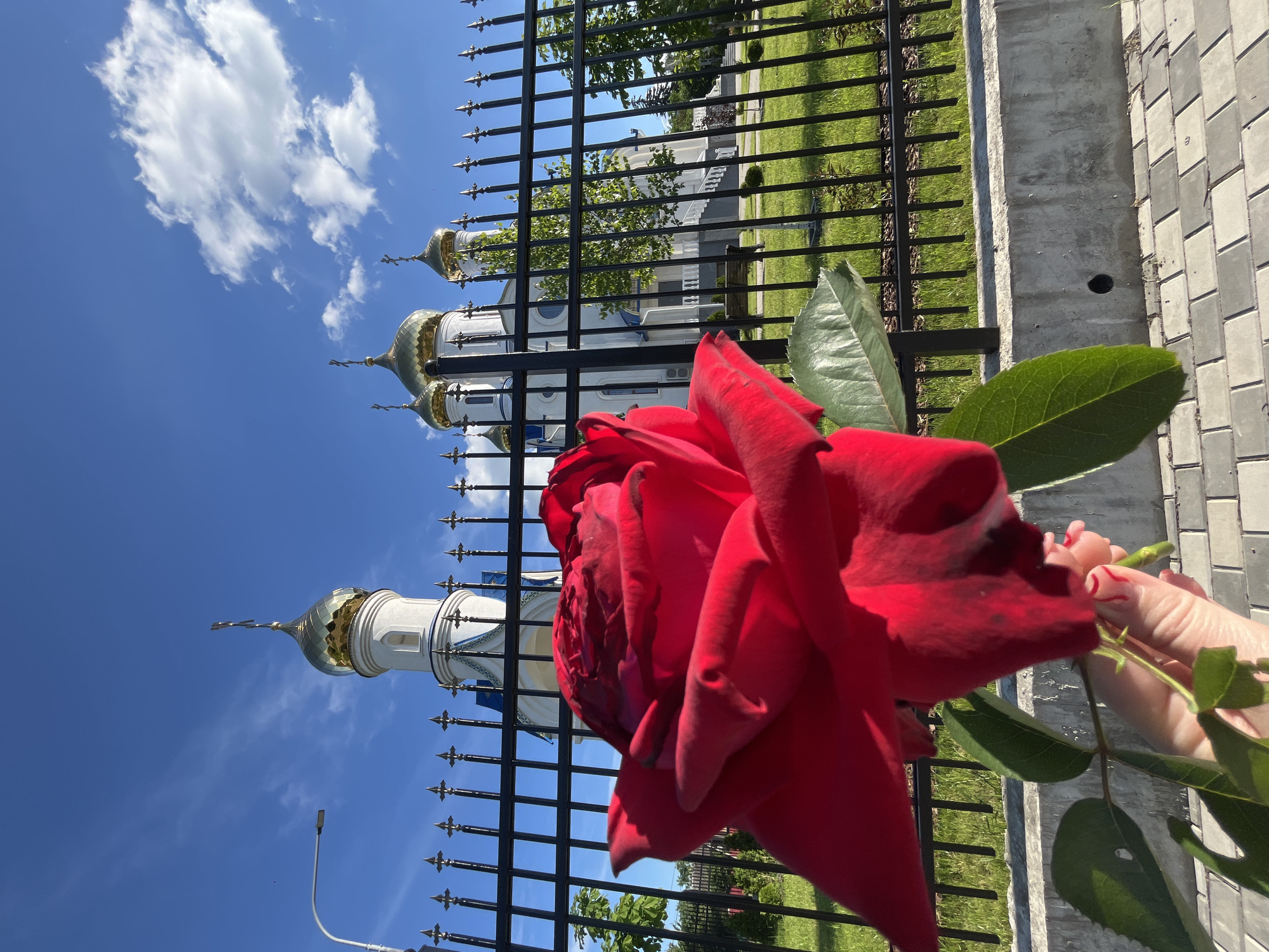 The image captures an outdoor scene on a clear, sunny day in Novopokrovskaya, Russia, featuring an Orthodox Christian church partially obscured by a foreground element. In the lower-left, a vibrant red rose, held by a person's hand, dominates the immediate foreground. The hand, exhibiting a light skin tone and red-painted nails, grasps the rose stem. The rose is in sharp focus, with its deeply colored petals and green leaves visible.
Behind the rose, a black metal fence with ornate, pointed finials extends horizontally across the middle ground, separating the viewer's immediate space from the church grounds. Beyond the fence, a well-maintained green lawn is visible.
In the background, a white Orthodox Christian church stands prominently, featuring multiple golden onion domes, each topped with a cross. The church exhibits classical architectural elements with visible columns and arched windows. A street lamp post is situated on the far left, near the church grounds. The sky is a vivid blue with scattered white cumulus clouds. The ground in the foreground consists of gray interlocking paver stones and a concrete curb beneath the fence. The scene is illuminated by bright natural sunlight.