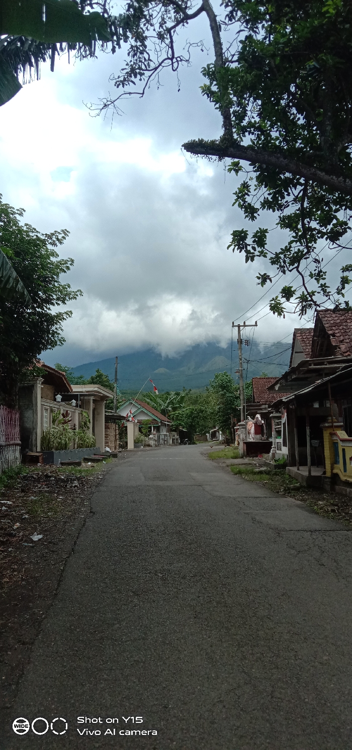 A tranquil street stretches into the distance, framed by modest houses on either side. Utility poles stand tall, disappearing into a sky heavy with clouds. A mountain looms in the background, partially obscured by the weather. Lush trees and vegetation line the road, adding to the serene atmosphere. The asphalt road leads the eye towards the vanishing point, creating a sense of depth and perspective.