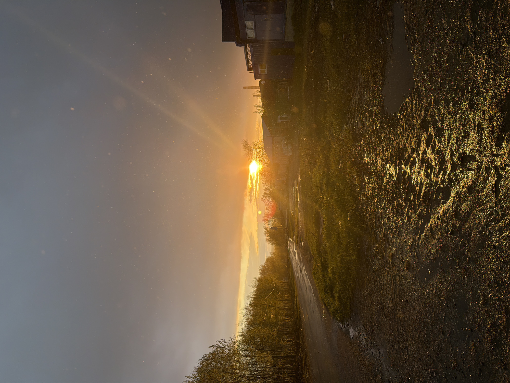 The image shows a setting sun in what appears to be a rural or semi-rural area, possibly in or near the city of Usolye, Russia. A road is visible in the foreground, wet from recent rain, reflecting the intense golden light of the sun. On the right side of the road is grass and vegetation, also appearing damp and reflecting the sunlight. In the distance, buildings and structures are faintly visible, silhouetted against the bright sun. The sky transitions from a darker gray on the left to a radiant orange and yellow where the sun is positioned. Fine particles or possibly light rain are scattered throughout the air, catching the light.