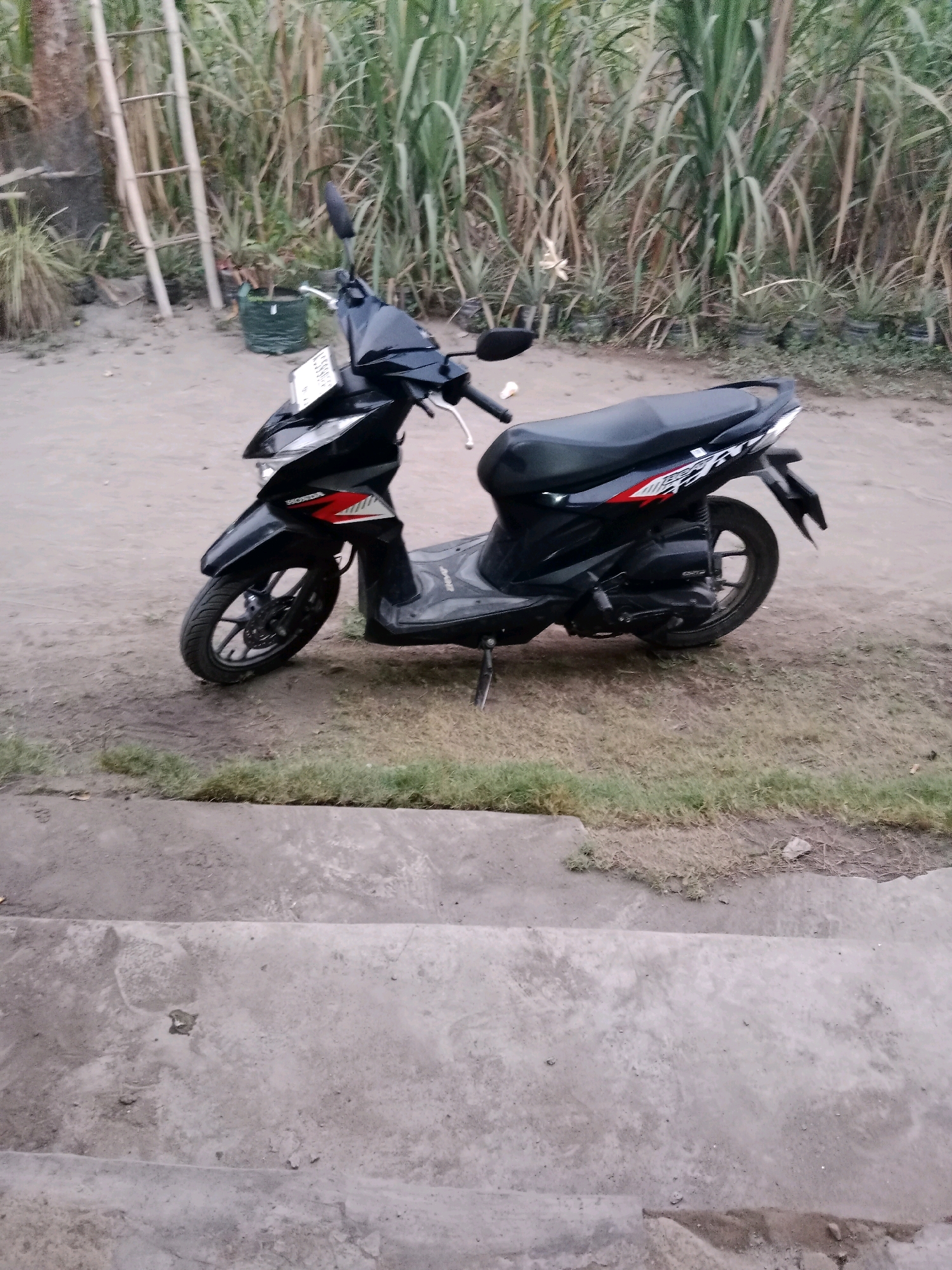 The image shows a black Honda Beat scooter parked on a dirt path. The scooter is facing to the left and is partially obscured by a concrete structure in the foreground. Behind the scooter, there is tall grass and a bamboo ladder leaning against a tree. The scene appears to be an outdoor area, possibly a yard or a rural setting. The lighting suggests it is daytime, but the sky is not visible. The scooter has a license plate visible on the front.