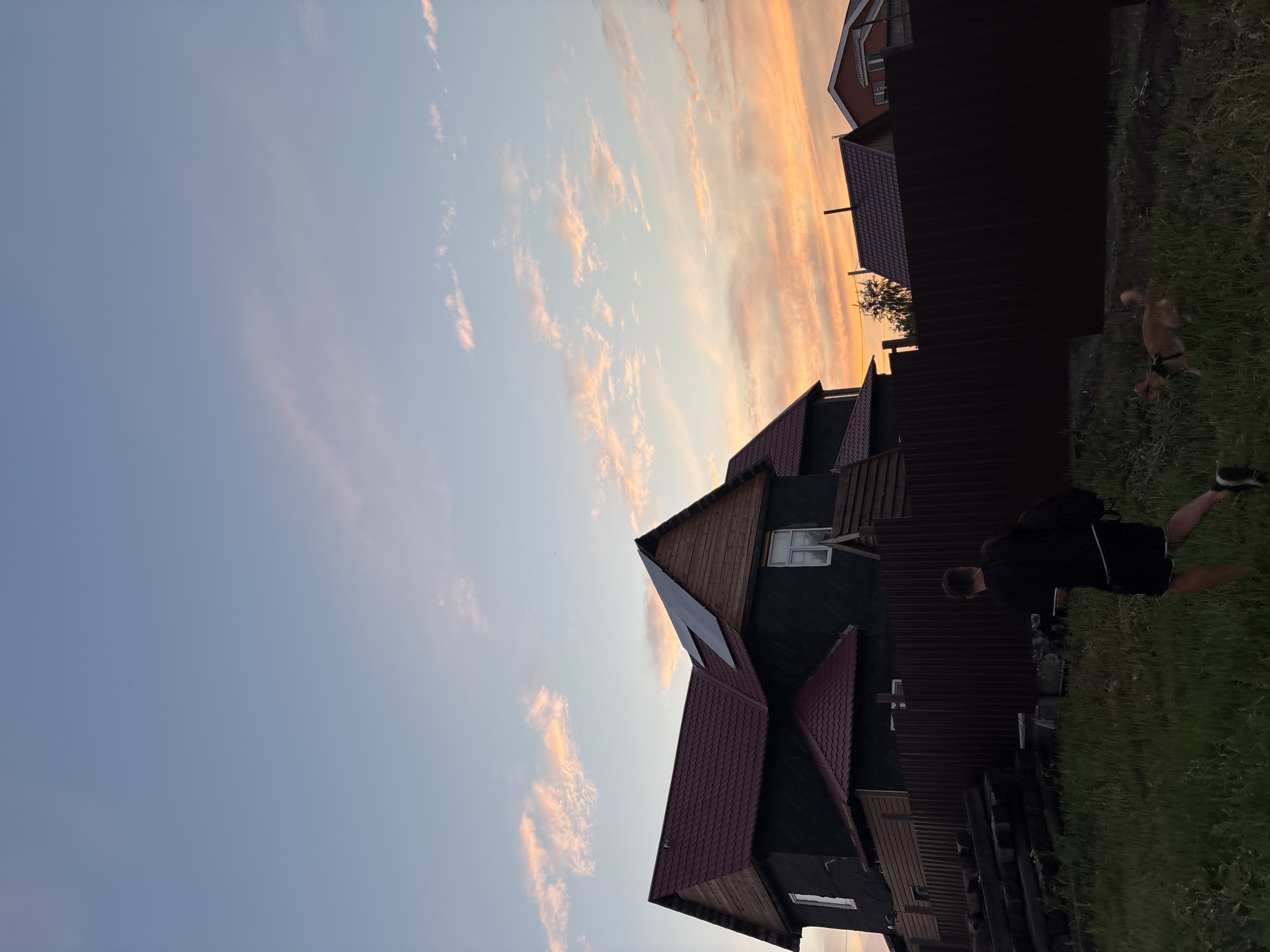 This is a vertical, medium-shot photograph taken during what appears to be sunset. The sky is a gradient of light blue near the horizon, transitioning to a soft orange and pink with streaks of clouds higher up. In the foreground, a dark brown corrugated metal fence runs horizontally across the image, separating a grassy area from a property with several dark-colored houses. The houses have red tile roofs and dark siding, with some wooden elements visible. One house has a triangular window on an upper level.
To the right of the fence, in the grassy area, is a person wearing a black t-shirt and black shorts with white stripes. They are facing away from the camera and appear to be walking or standing. Further to the right, a small, tan-colored dog with a black collar is visible in the grass, facing towards the person. The grass is green but appears somewhat overgrown in places.
The overall setting suggests a residential area, possibly a dacha or country home in Vishnevka, Russia. The time of day is clearly indicated by the colors in the sky, characteristic of a sunset. The lighting is dim, consistent with evening. No text is visible in the image. The scene evokes a peaceful, end-of-day atmosphere.