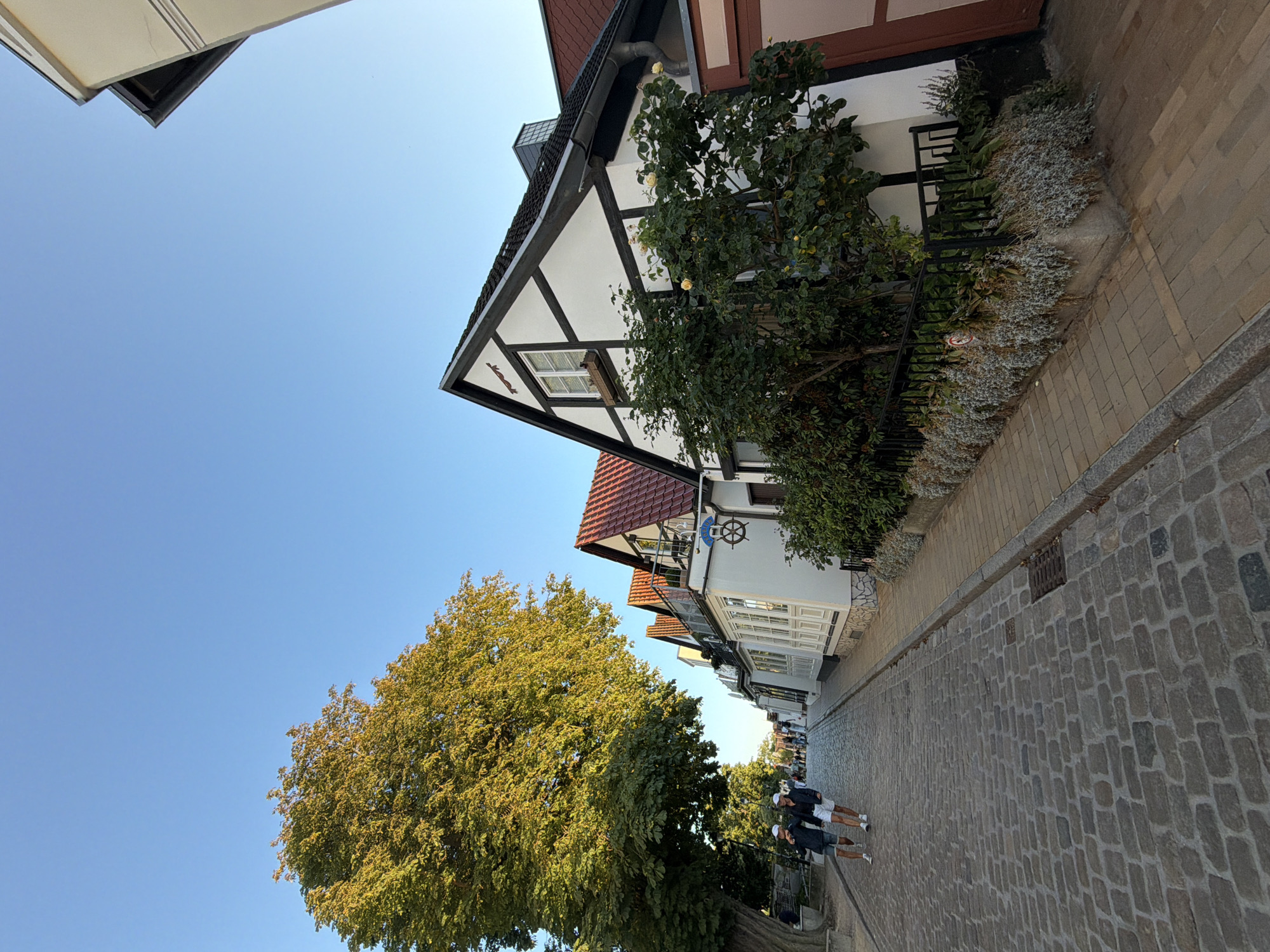 This image depicts a cobblestone street in Rostock, Germany, lined with traditional German houses. The houses feature white facades with dark timber framing and red tiled roofs, giving them a historic appearance. Lush green trees, including a large one with yellowing leaves, are present on the left side of the street, casting shadows on the cobblestones. Several people are visible walking along the street, appearing relaxed. One of the houses displays a ship's wheel emblem, suggesting a nautical theme possibly related to Rostock's port city status. The sky is a clear, bright blue, indicating fair weather. The scene appears to be set in a charming, well-preserved part of the city, likely a pedestrian area or a street with limited vehicle traffic.