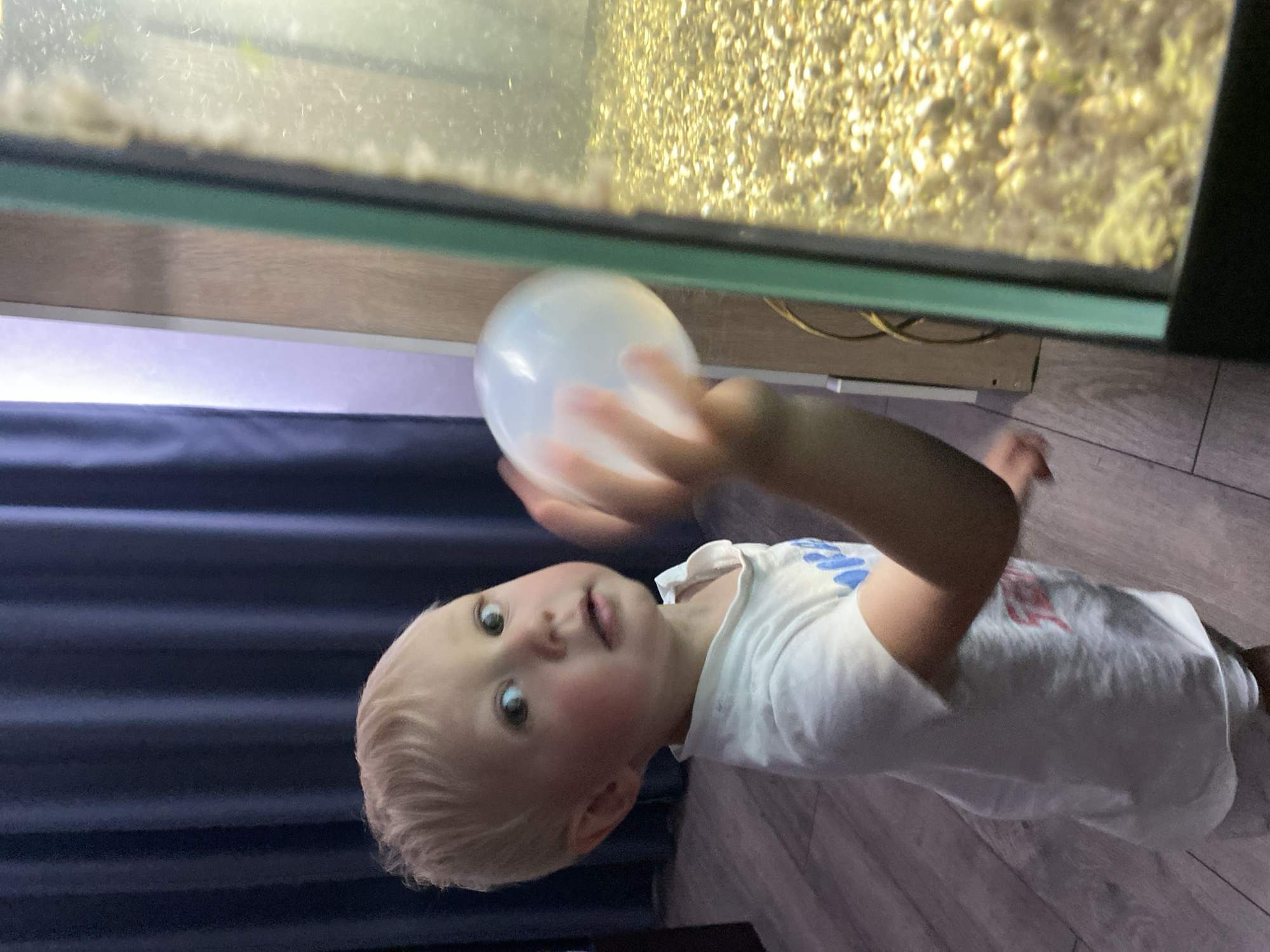 An overhead shot shows a young blonde boy with wide eyes and rosy cheeks, wearing a white t-shirt, holding a translucent balloon in his outstretched right hand. He is looking to his right, towards a large aquarium filled with small, light-colored gravel and some green plants. The aquarium is framed by a green border. To the boy's left, dark blue curtains are visible, and to his right, a light-colored wooden surface. The floor is covered in grey wooden planks.