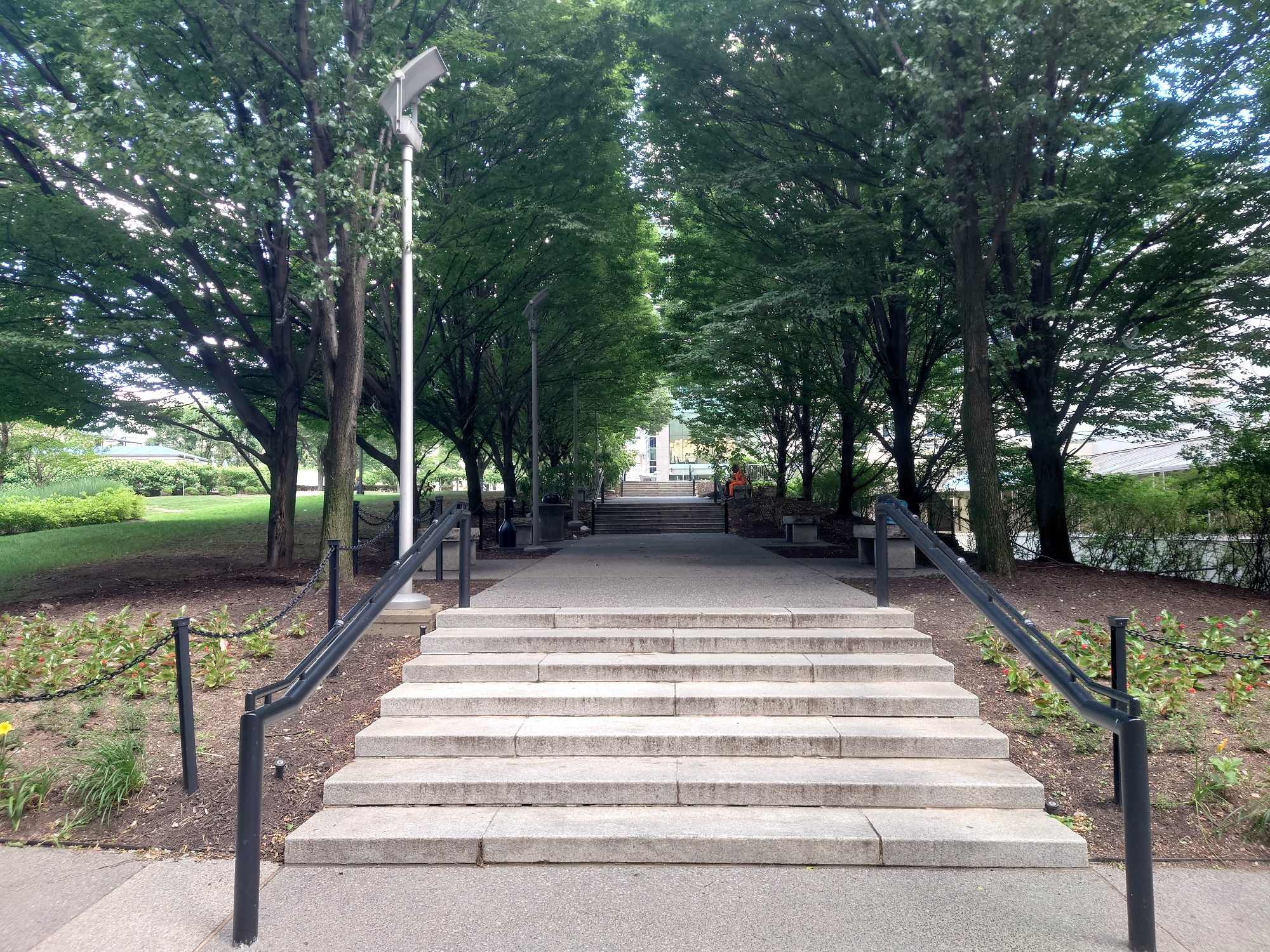 This image depicts a wide, outdoor stone staircase leading upwards towards a building in the distance, flanked by manicured trees forming an avenue. The staircase is the central focus, with several steps clearly visible, bordered by dark metal railings and posts connected by chains. To the left of the stairs, a grassy slope with some low-lying plants and flowers is visible, while to the right, a path curves away from the staircase. Further up the avenue, beyond the trees, parts of a modern building with large windows can be seen, and a figure in orange clothing is present near the top of the stairs. The overall scene suggests a well-maintained public space, possibly a park or a university campus, with a clear pathway and architectural elements designed to guide visitors.
